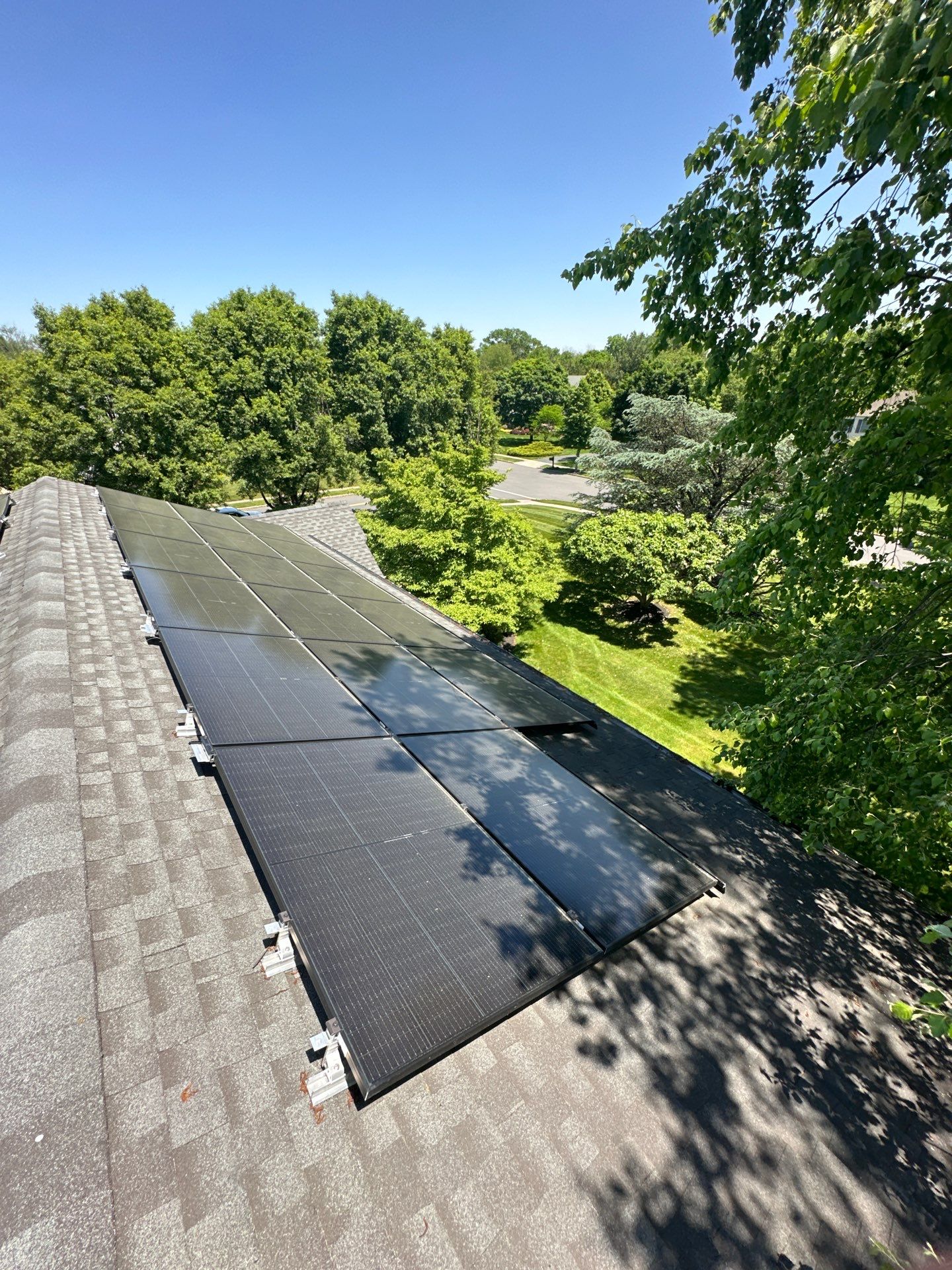 Silver Birch Shingles by Reimagine Roofing
