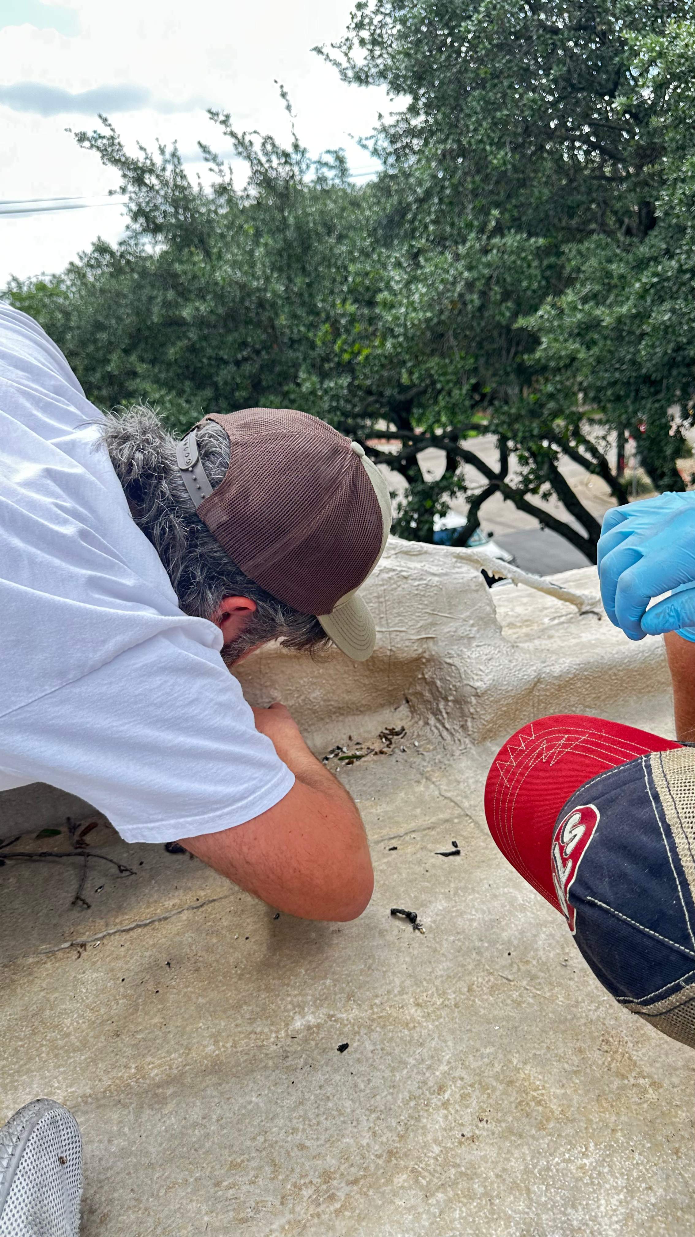 Church by Rockwall Honey Bee Company