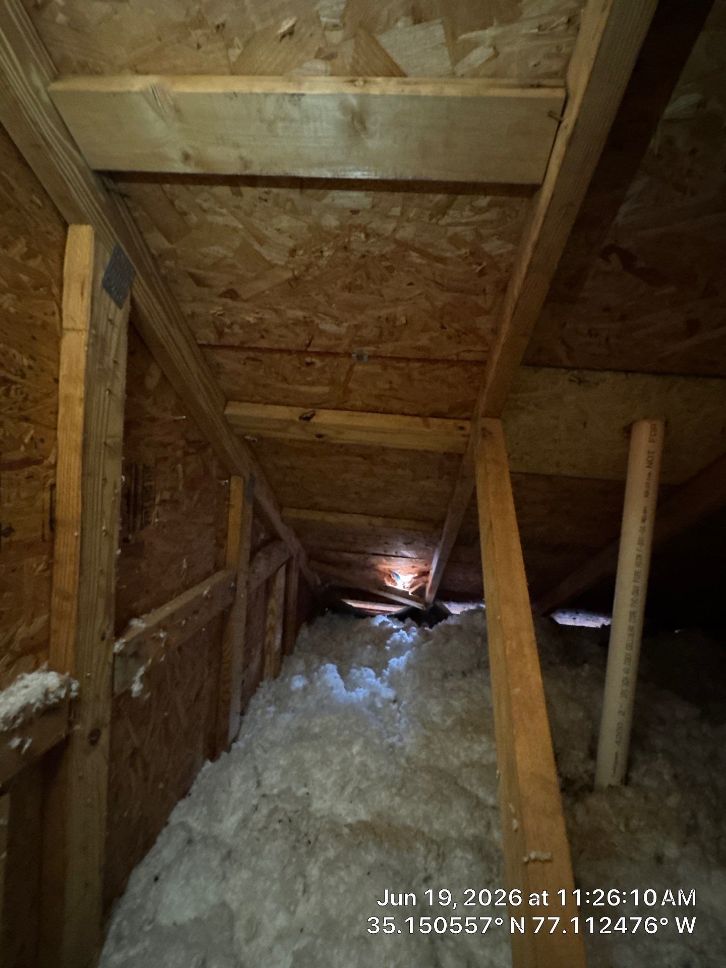 New Bern Roof Replacement Following Storm and Tree Damage by North Carolina Roofs