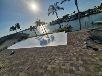 Project in Seminole 33772