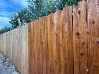Cedar Privacy Fence Staining and Protection in Pflugerville
