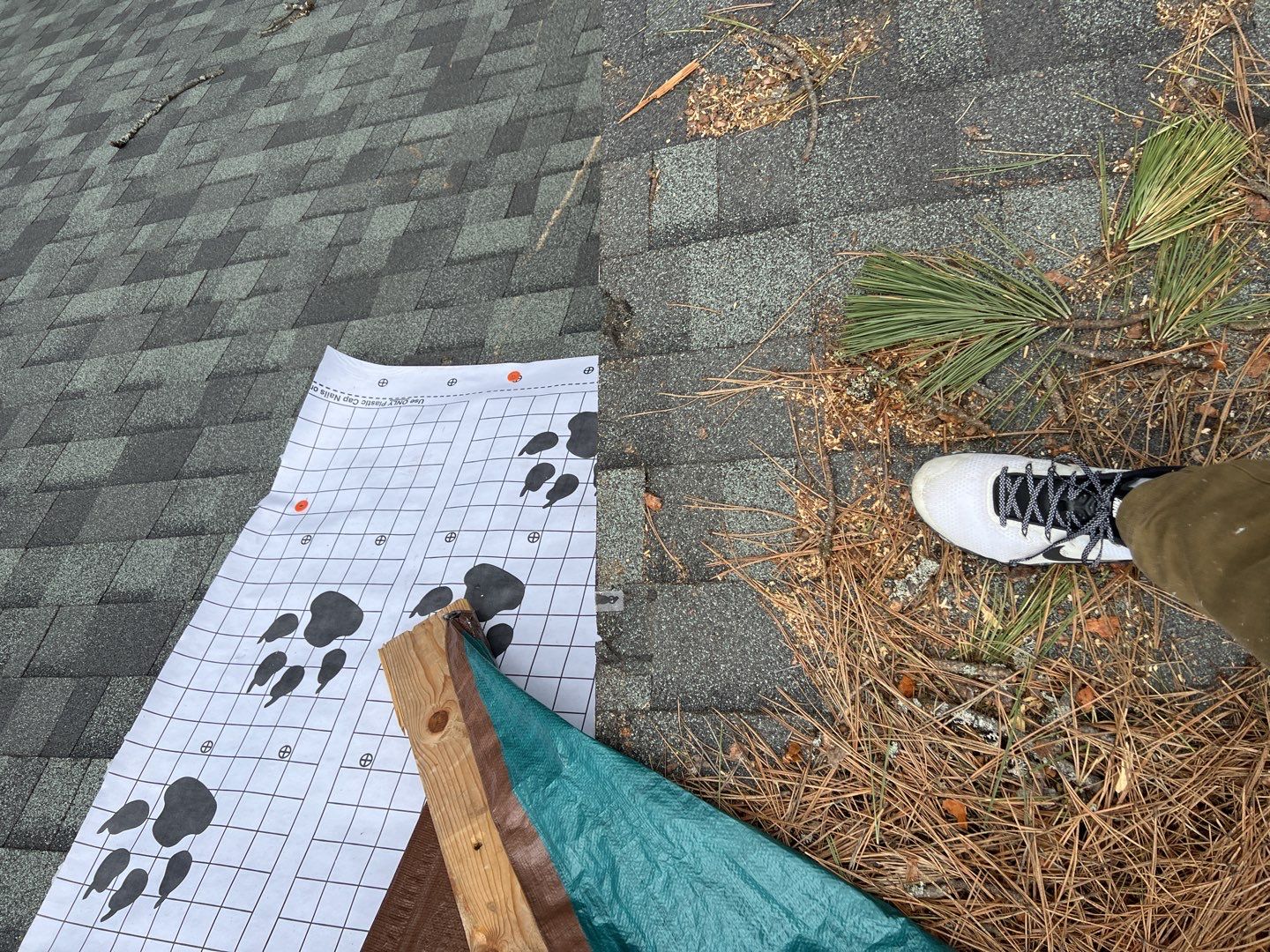 Green Snap Lock Standing Seam  by Montana Roofing Solutions