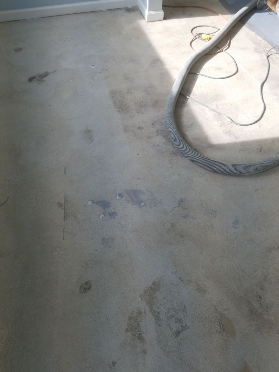 Kennel Floor Coating and Wall Painting using Penntek by Spectrum Painting, LLC