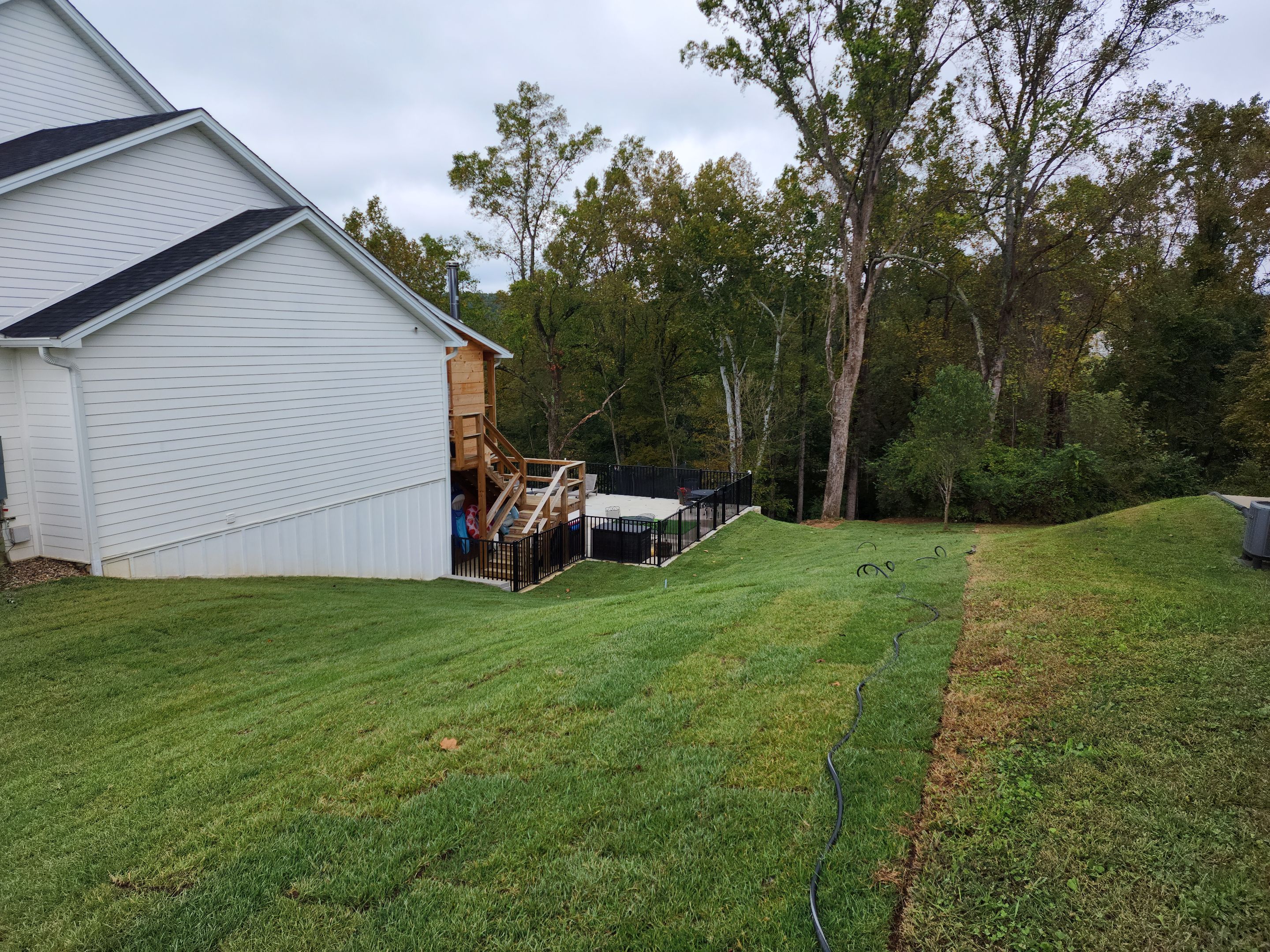 Sod Installation using Fescue Sod by GrassBusters, Inc.