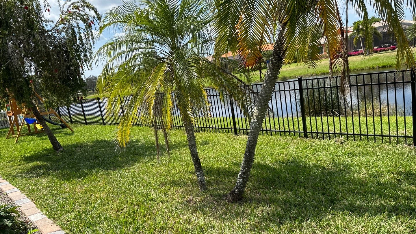 Aluminum Fence Installation using Black 3 Rail Aluminum Fence by Asap fence and gates, LLC