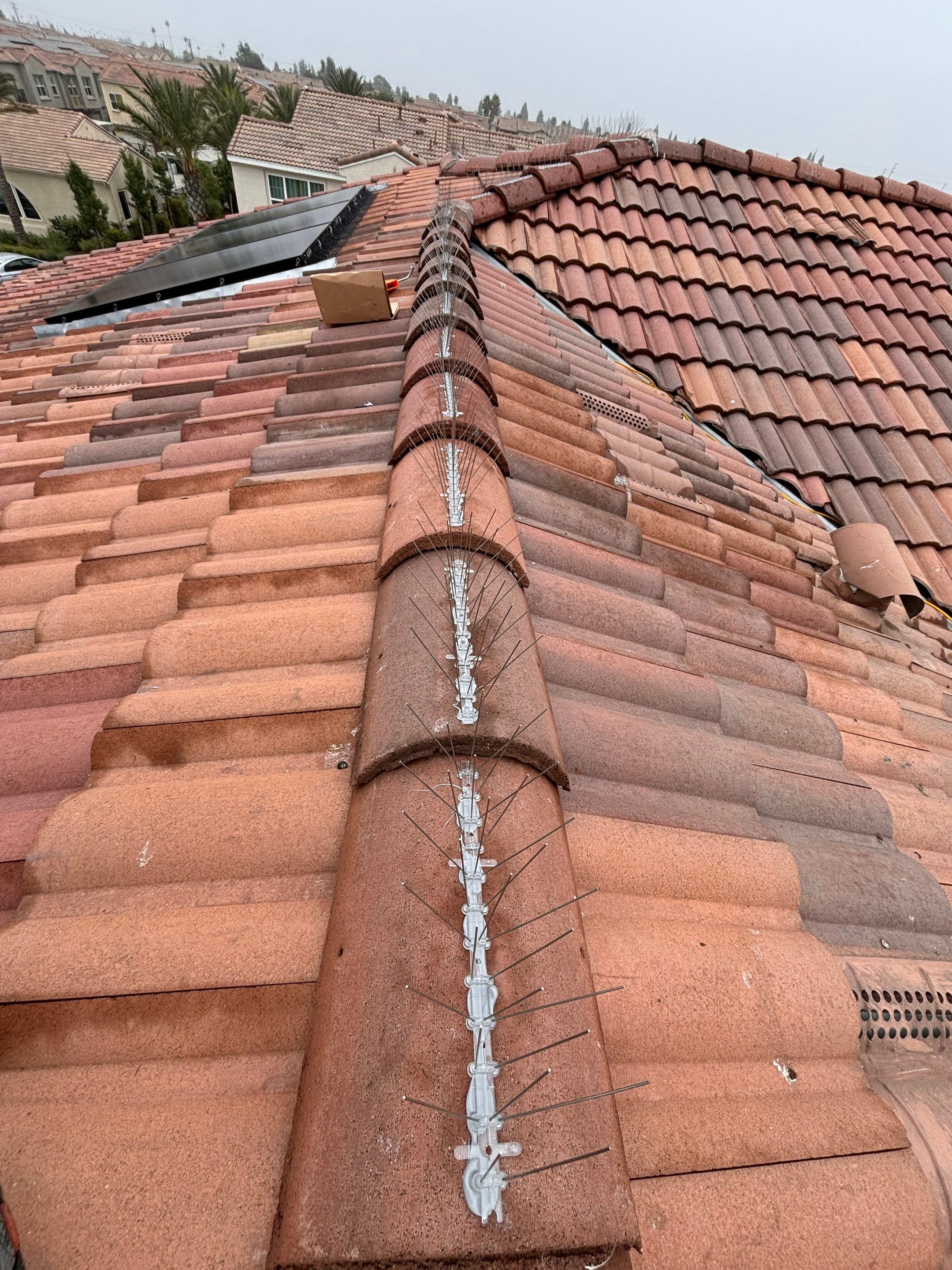 Solar Panel Bird Proofing in Fontana Ca by Palm Coast Solar Cleaning