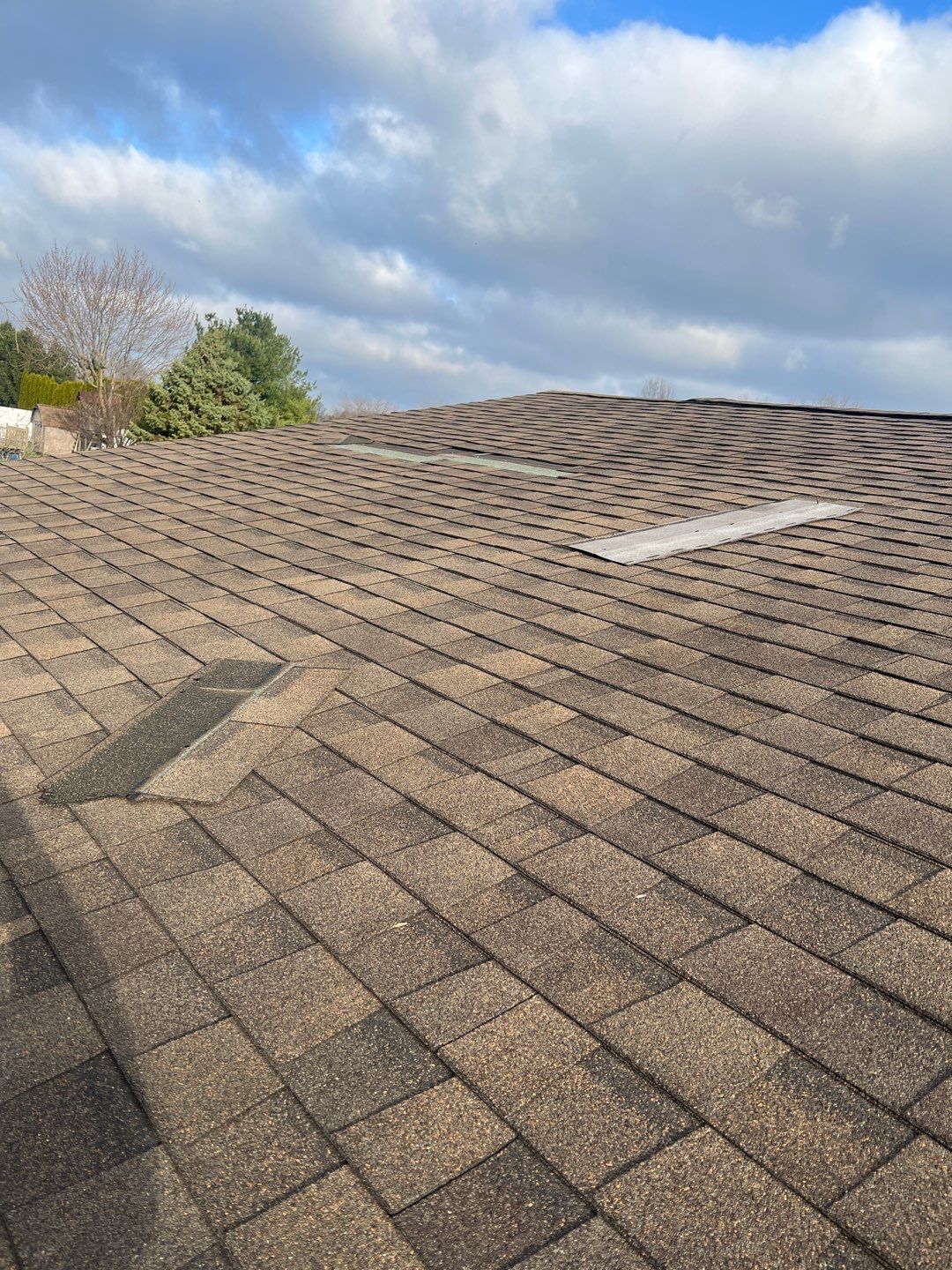 Vicki Mowery by Silver Leaf Contracting 