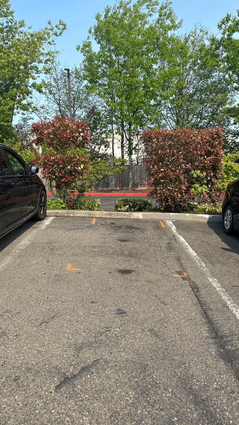 Les Schwab Tire Center | Everett WA  by Jireh Asphalt & Concrete Inc 