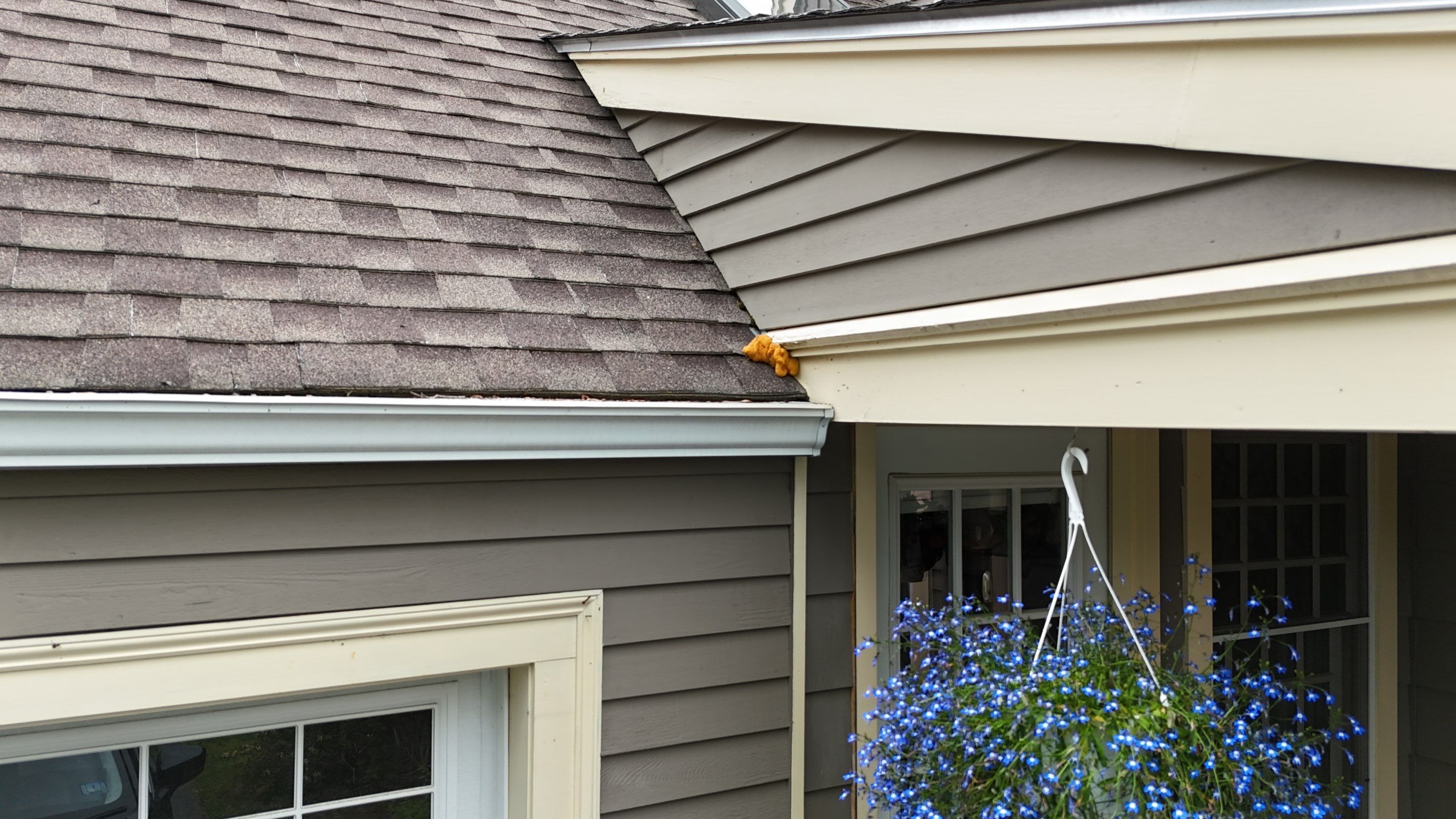 Roofing | Maynard  by Mighty Dog Roofing of Greater Middlesex County