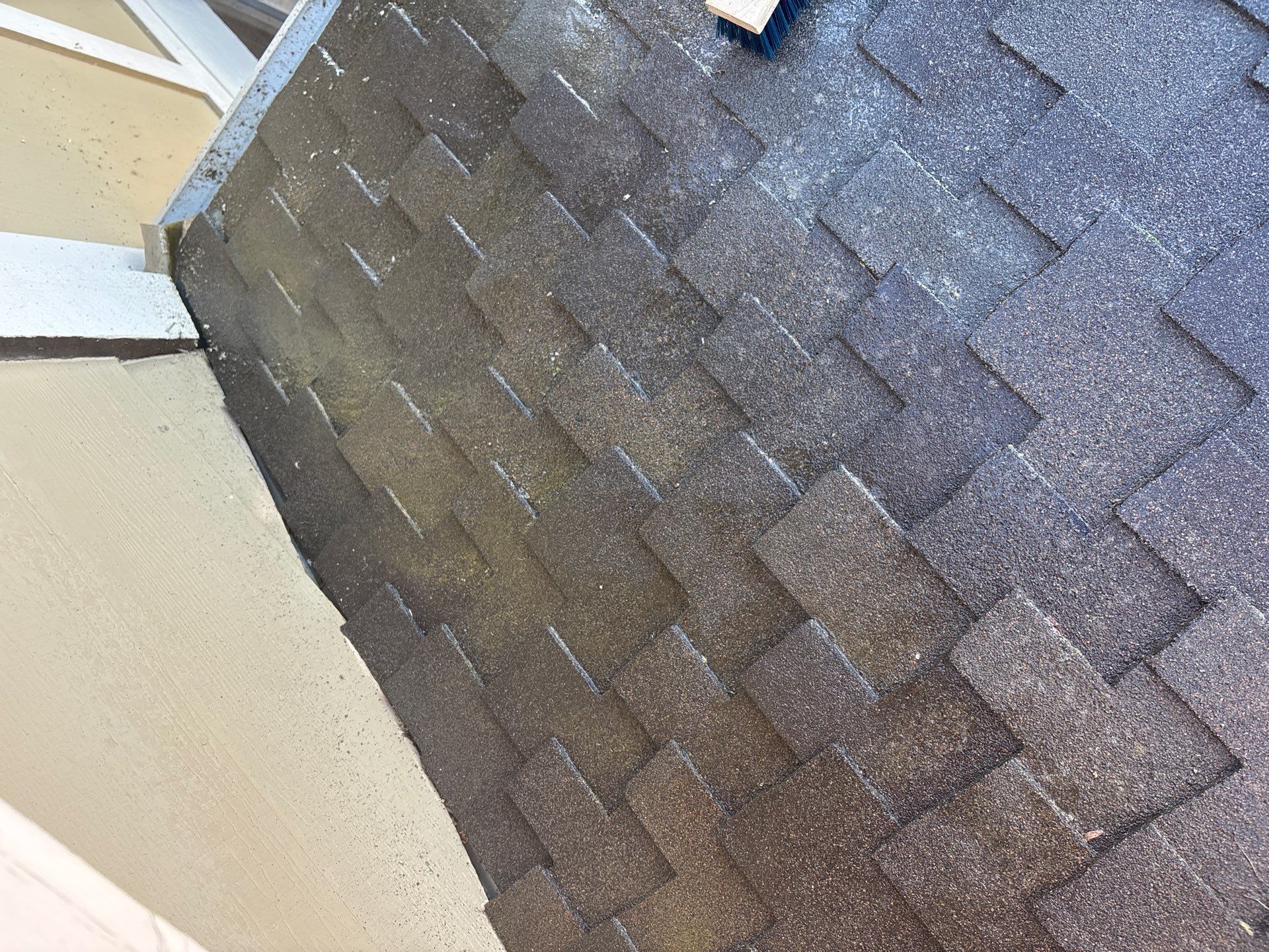 Moss Removal by Top Elevation