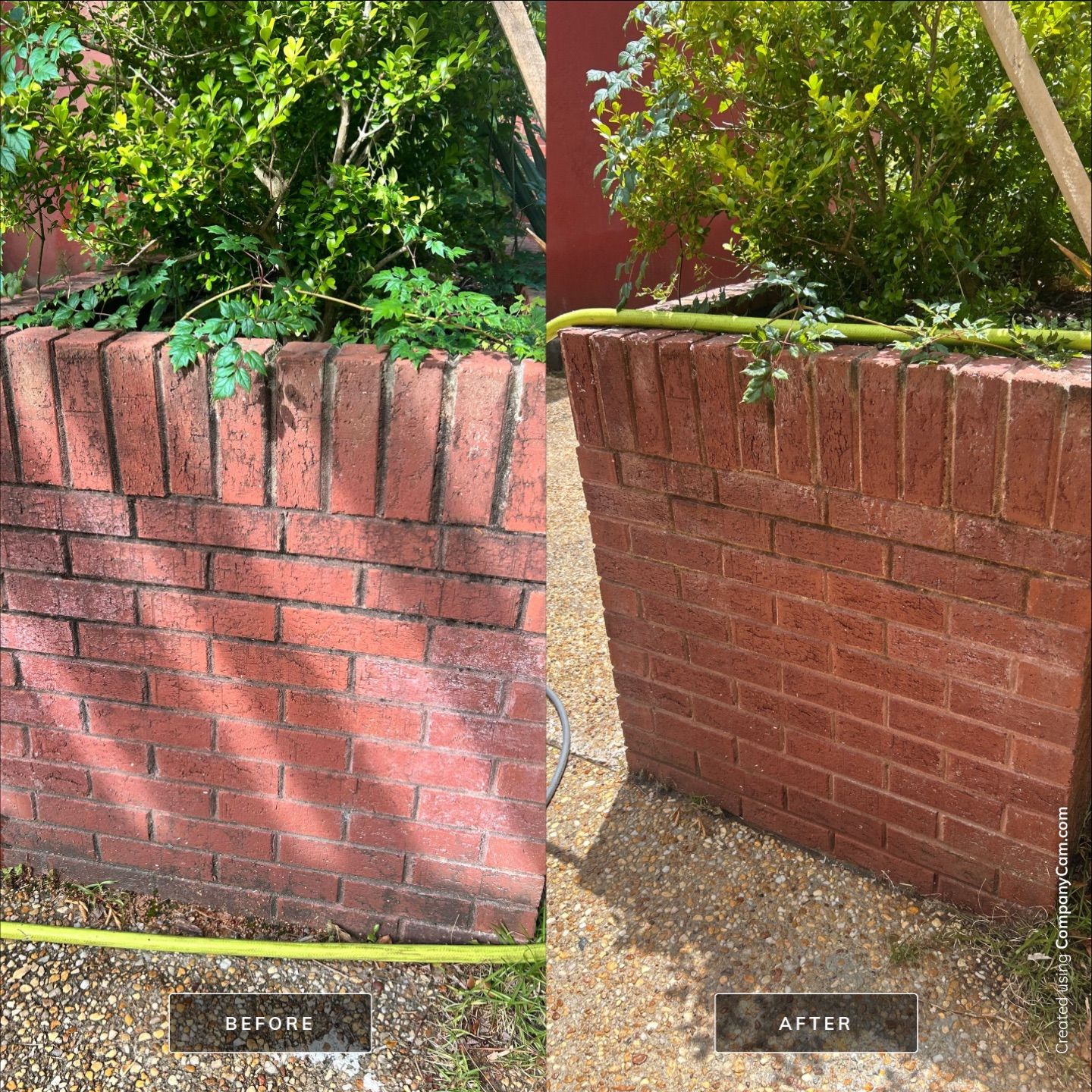 House Washing in Wilmington by Shark Power Washing