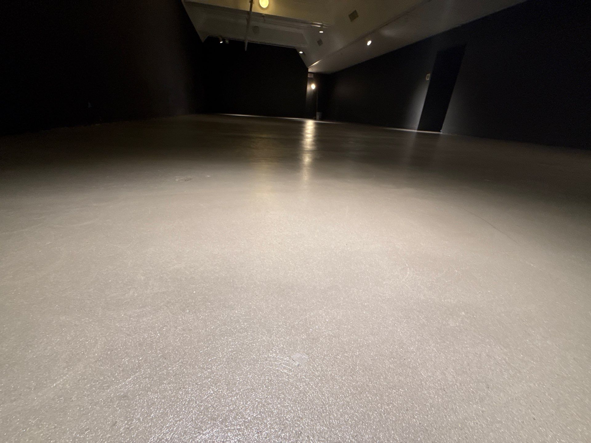 Grind off 20 layers of Paint Project in Pittsburgh by Floors in a Day, Inc