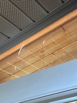 Project in Paynesville