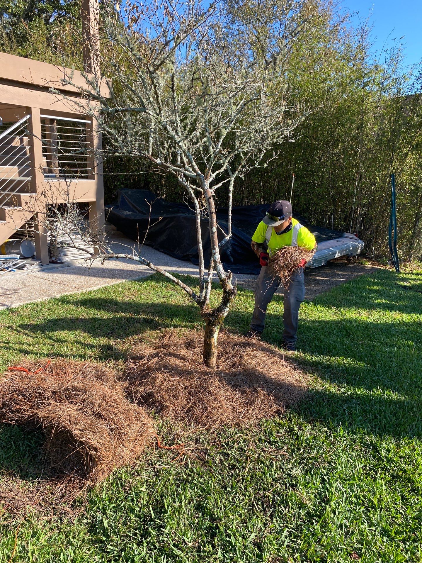 Deerwood Resident | Landscaping by ProGreen Services