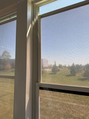 Screen Door Adjustment & Porch Window Rescreening