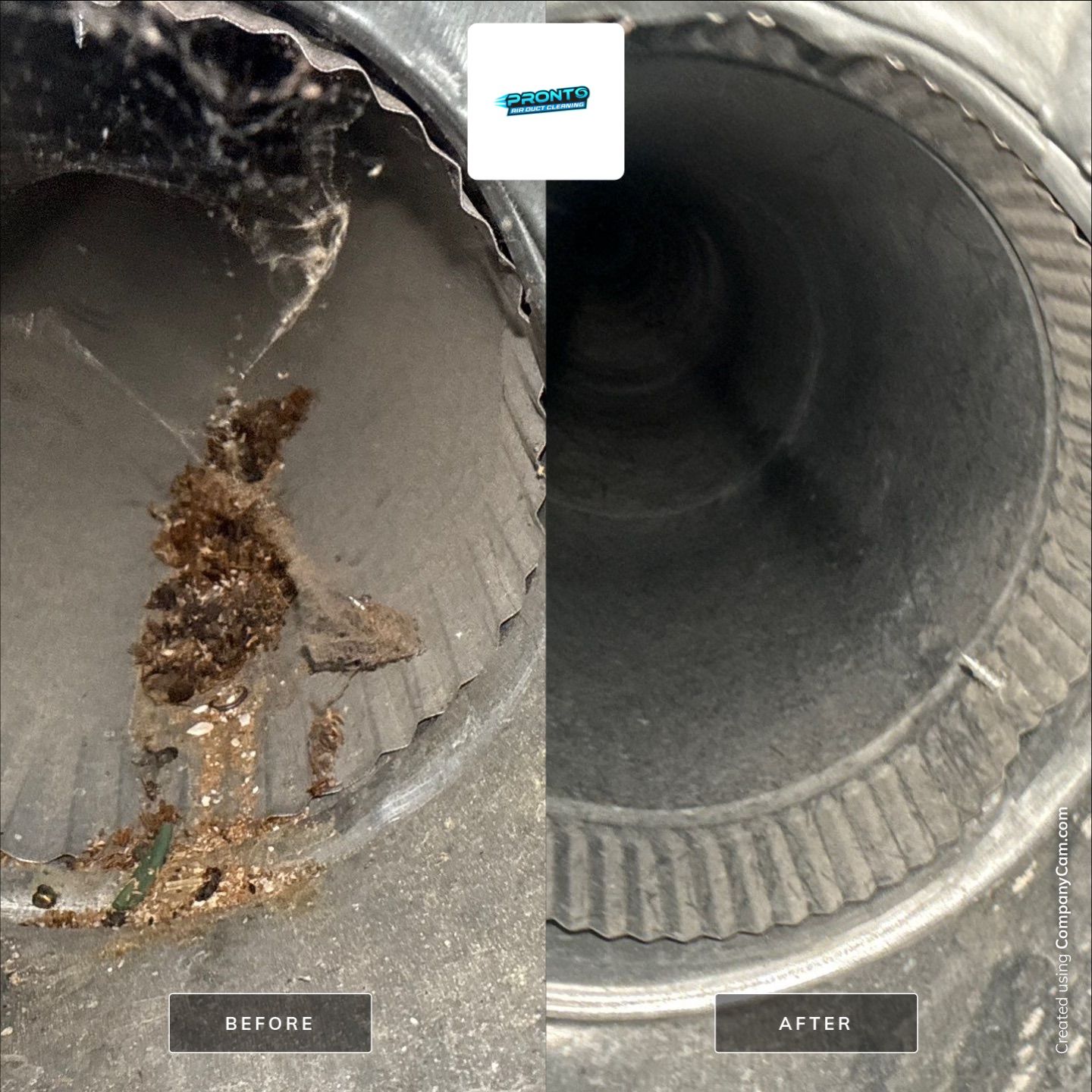 Air Duct Cleaning Haymarket, VA by Pronto Air Duct Cleaning