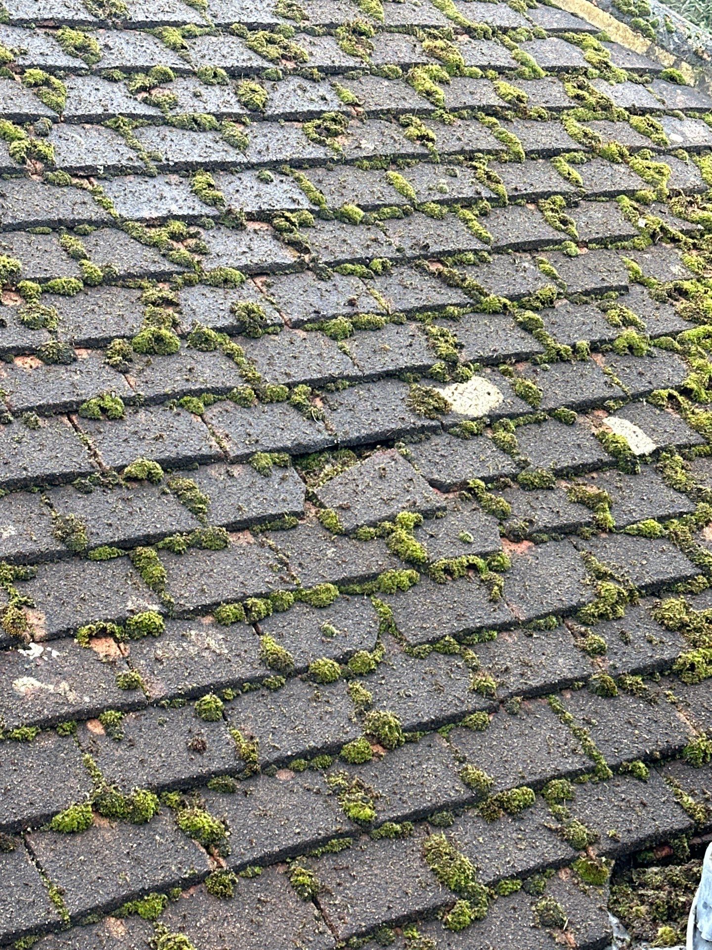 Roof And Driveway Clean by Ges Exterior Cleaning ltd