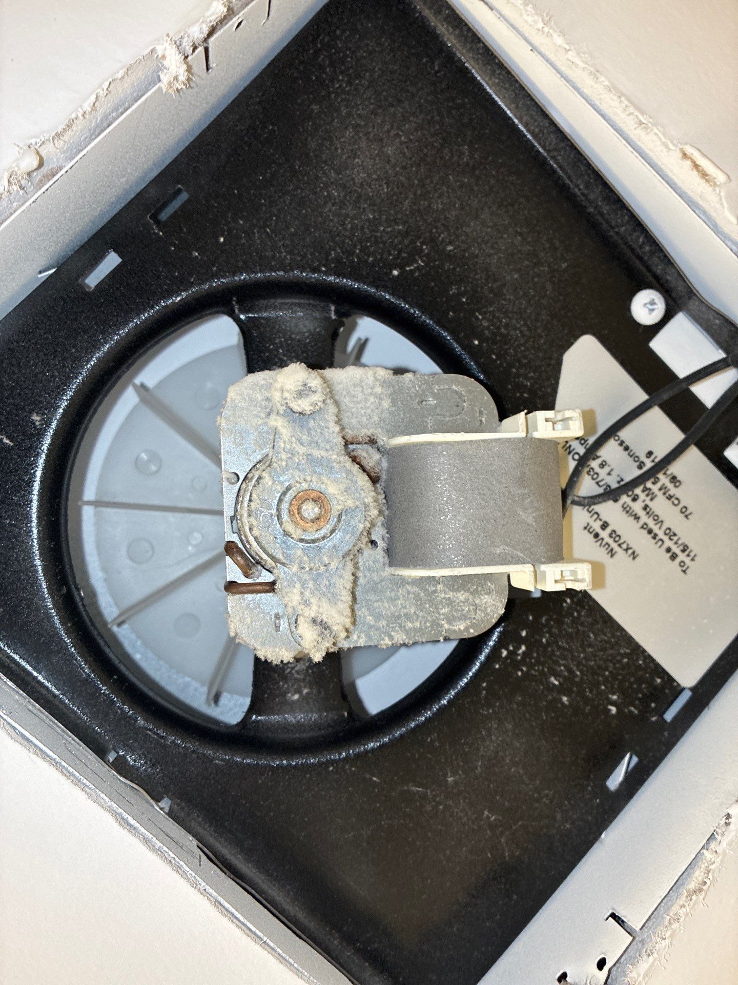 Air Duct Bath Exhaust Cleaning in Orlando by Hygienic Air, Inc