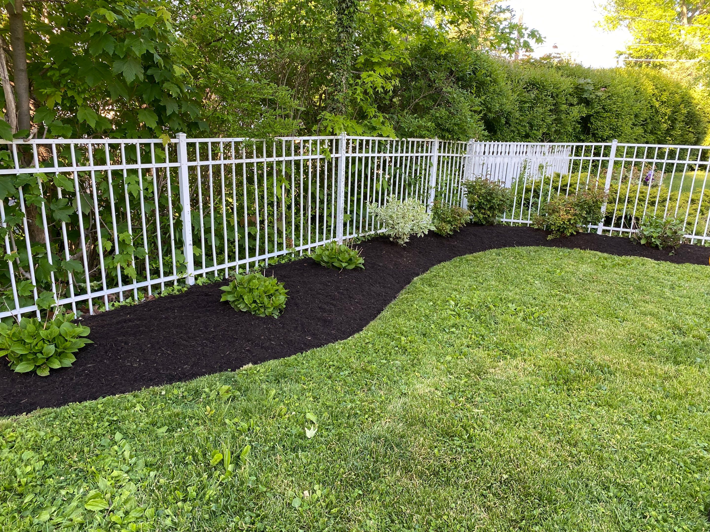 River Birch Maintenance by Elm Rose Gardens