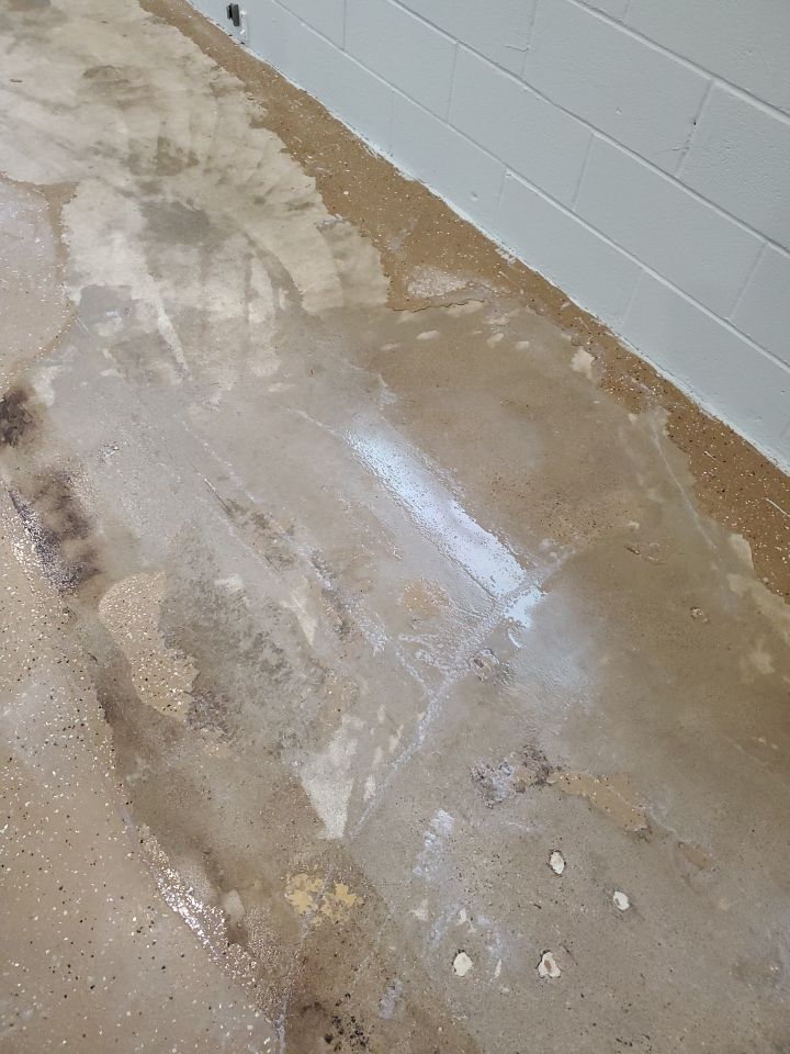 Kennel Floor Coating and Wall Painting using Penntek by Spectrum Painting, LLC