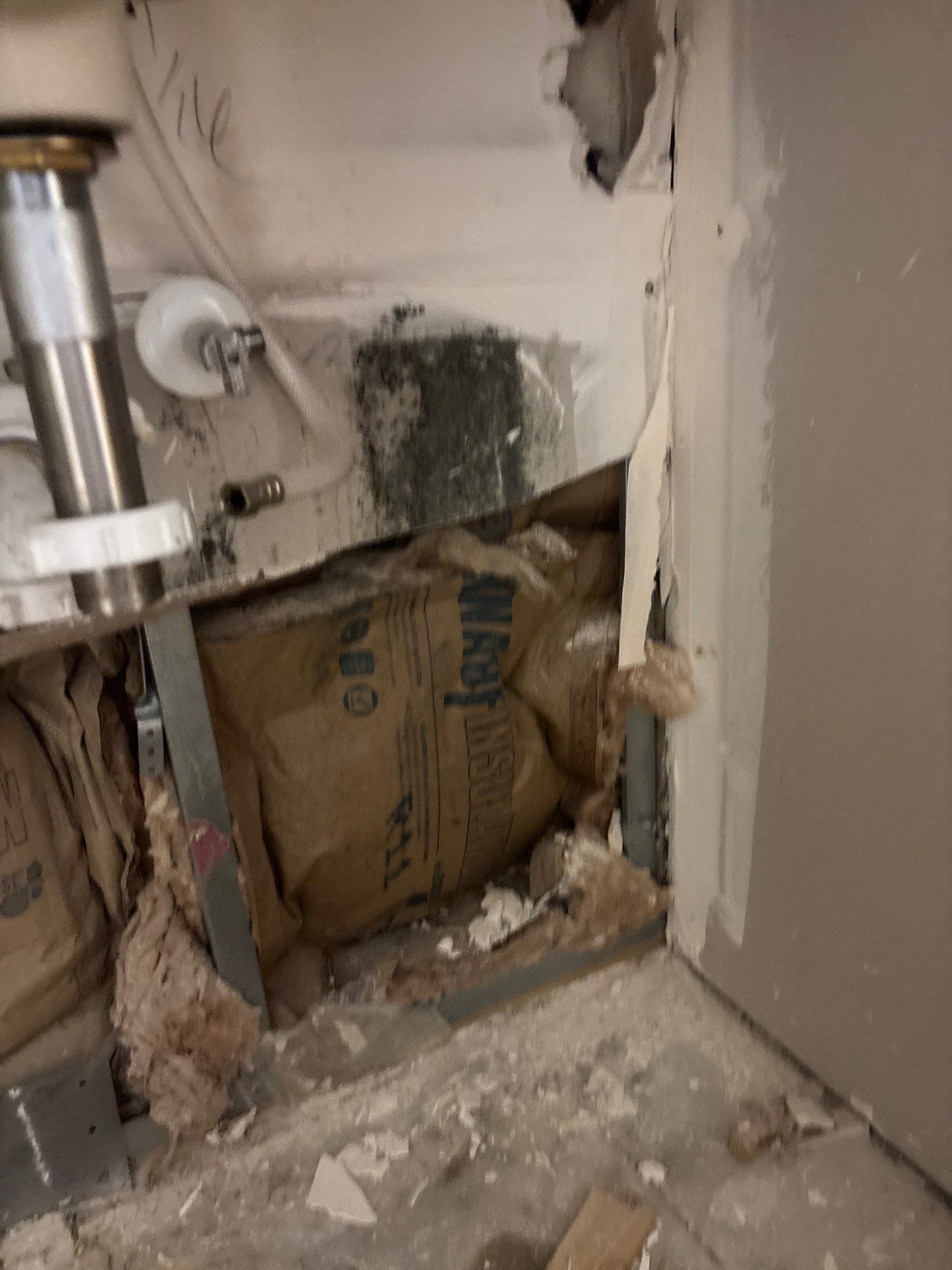 Mold Damage Inspection In Bradenton Florida by Ampm Restoration Services