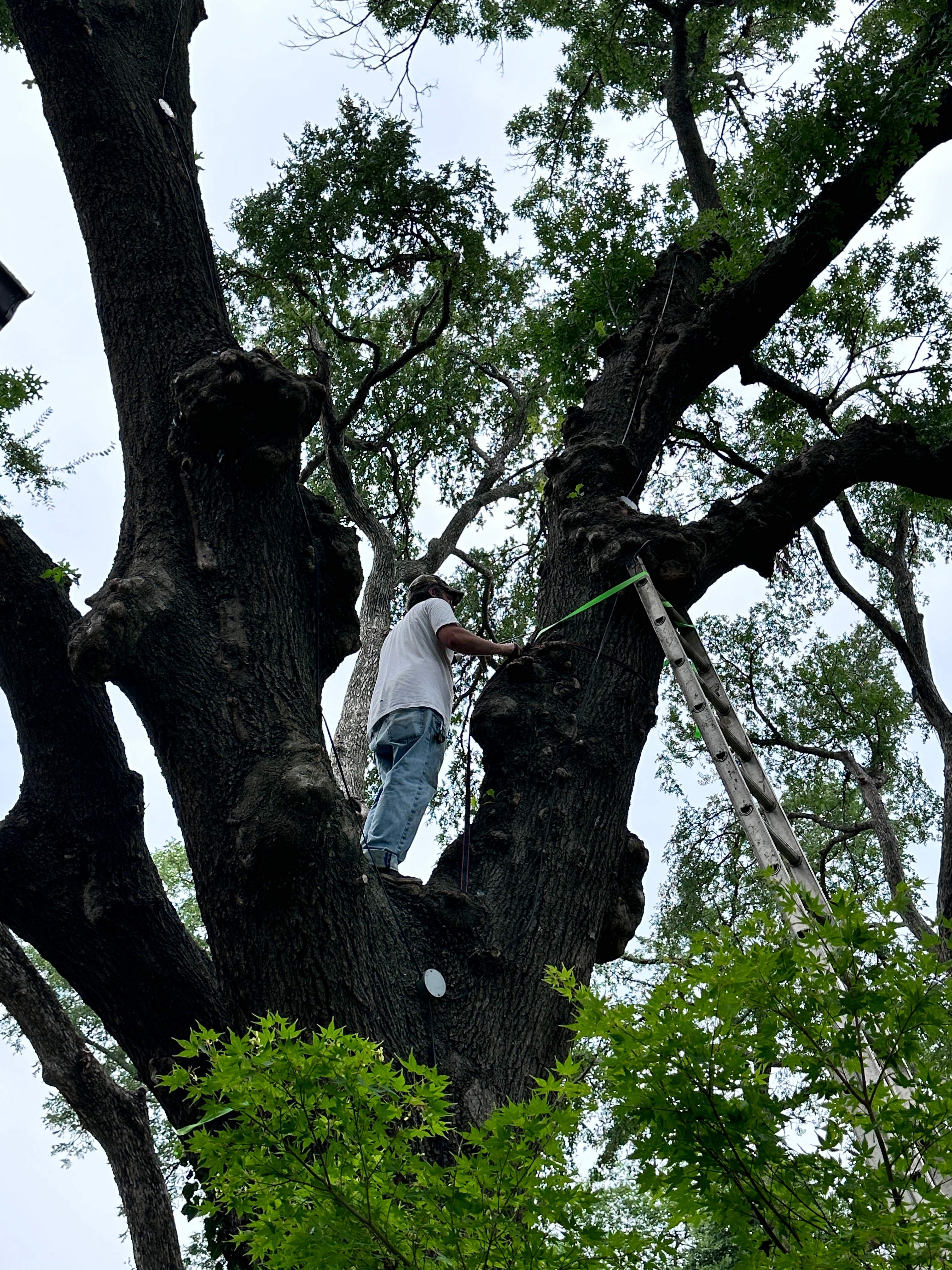 Smile! by Rockwall Honey Bee Company