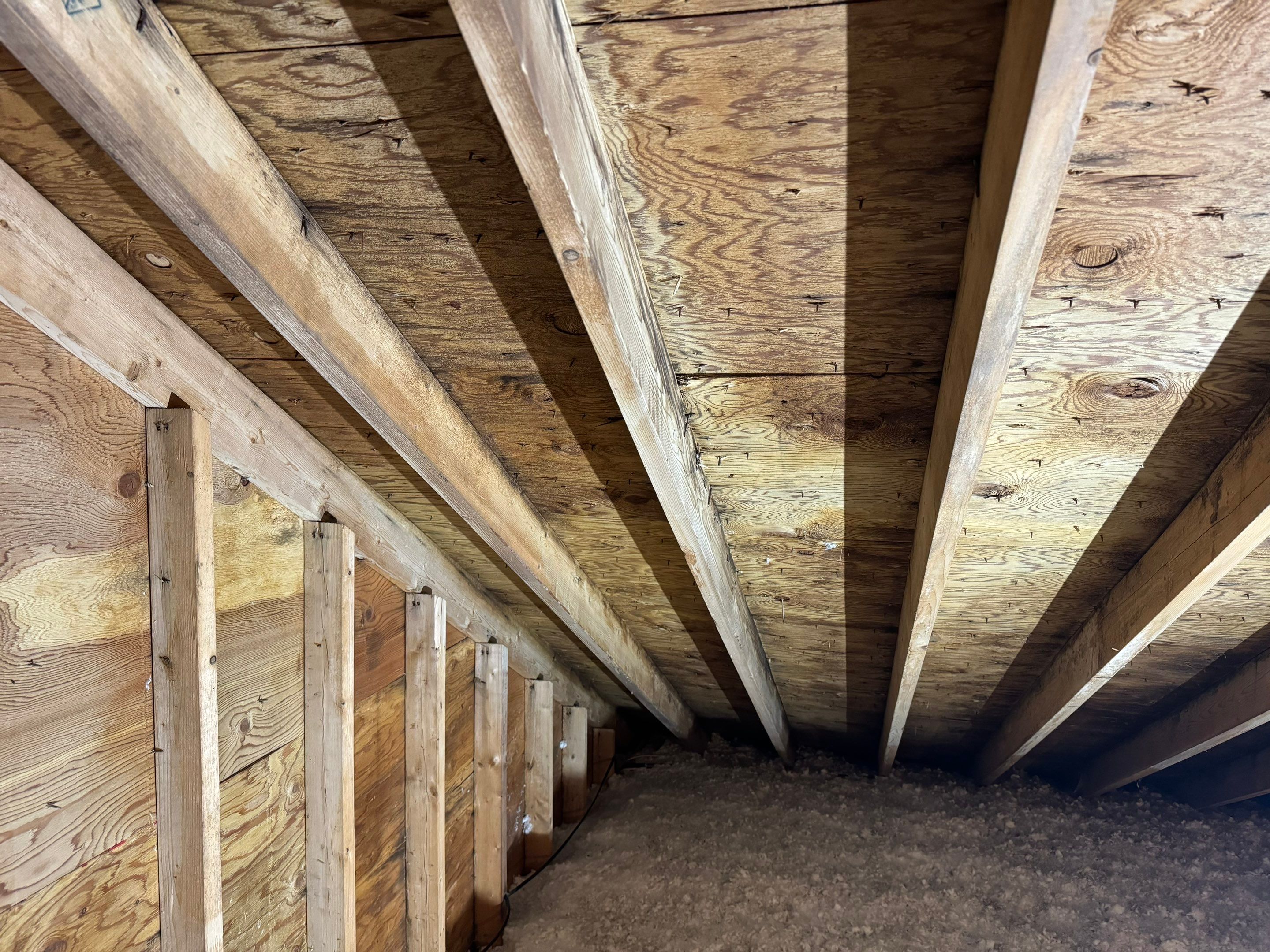 Attic Mold Remediation by Home Guarantee, LLC