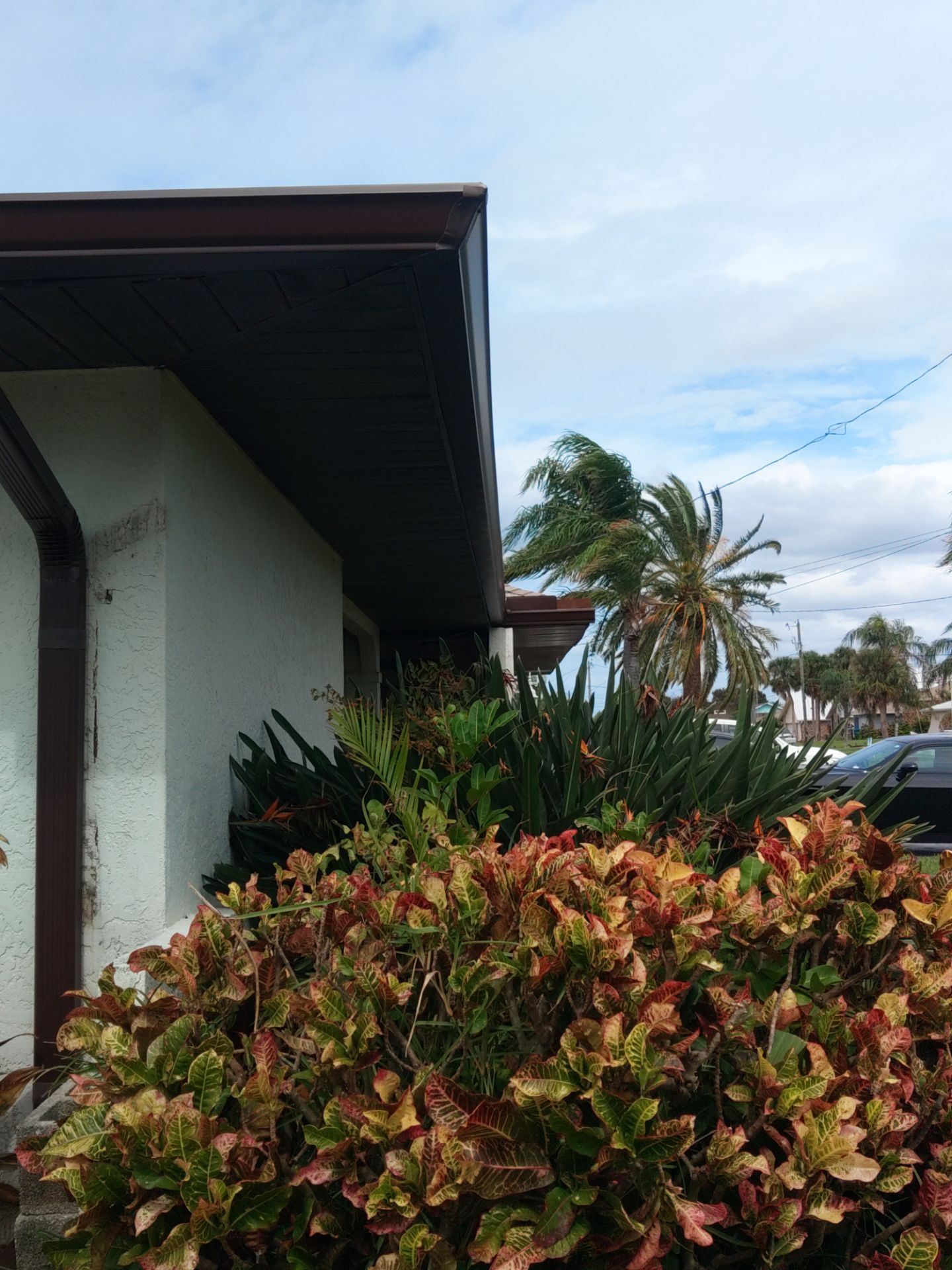 Brown Gutters in Cape Coral FL by Gutter Professors