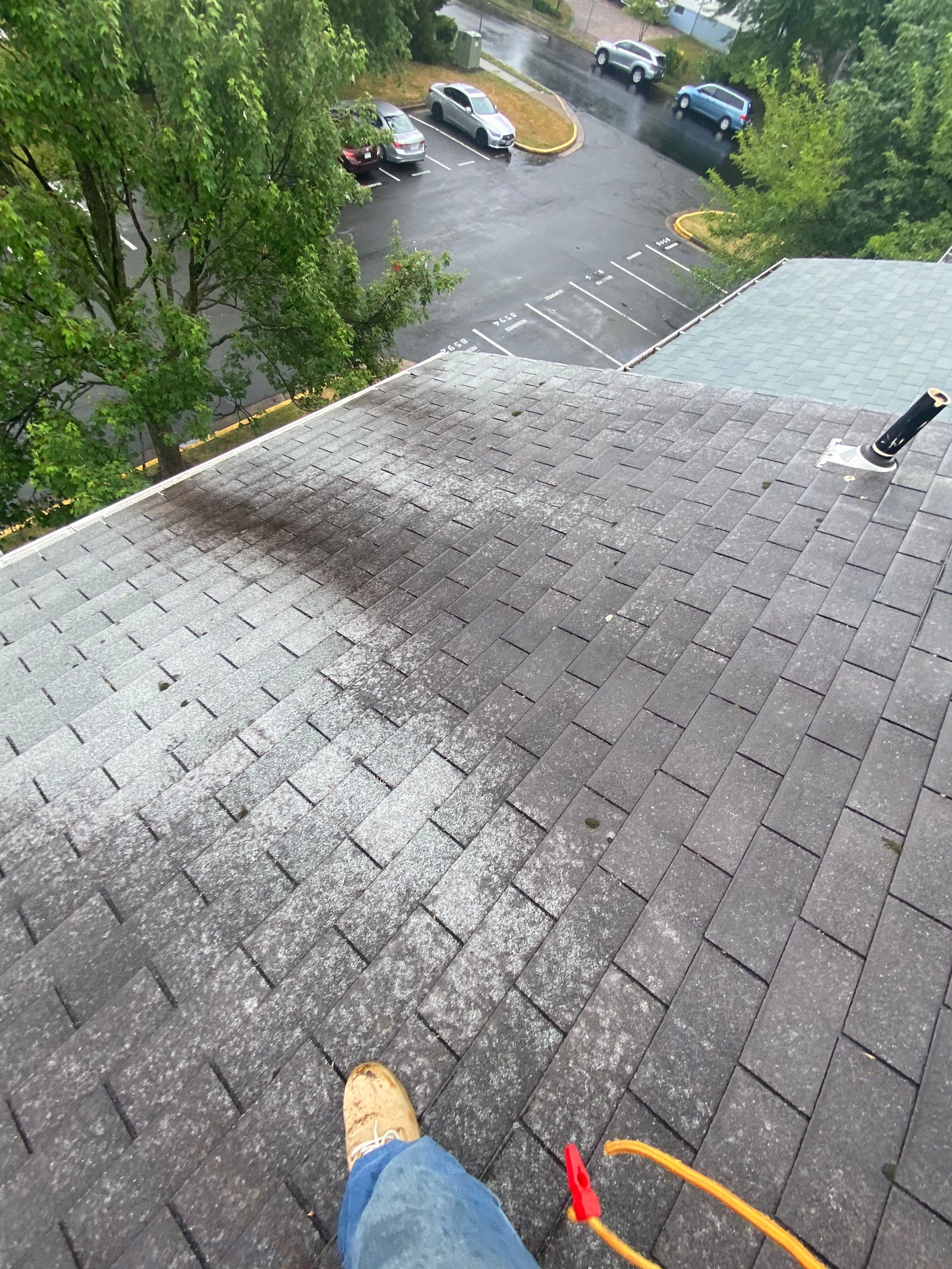 Manassas: Roof Replacement with CertainTeed Landmark Pro Designer Shingles in Max Def Cobblestone Gray by RM Banning, Inc.
