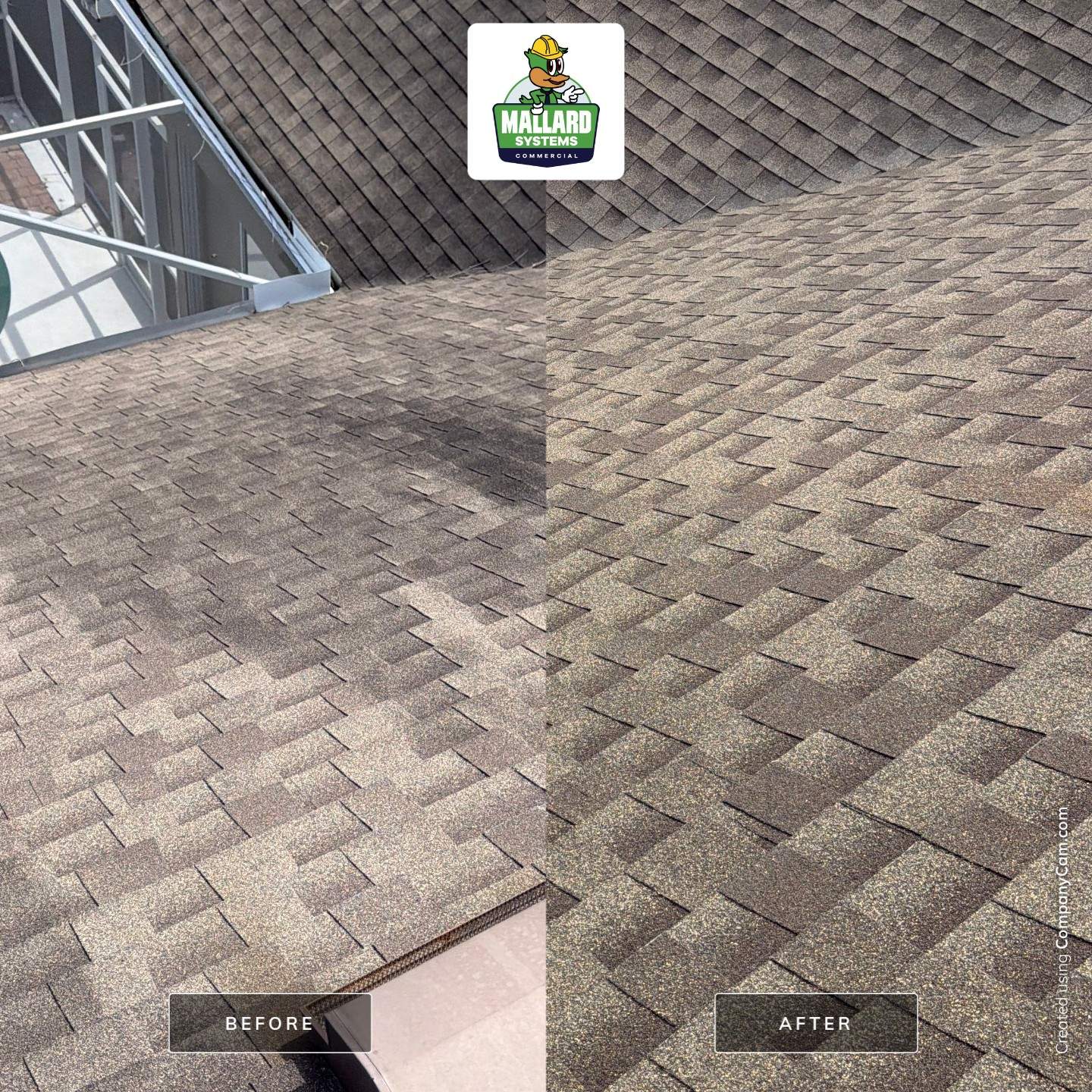 Roof Cleaning and Exterior Soft Wash in MetroWest by Mallard Systems