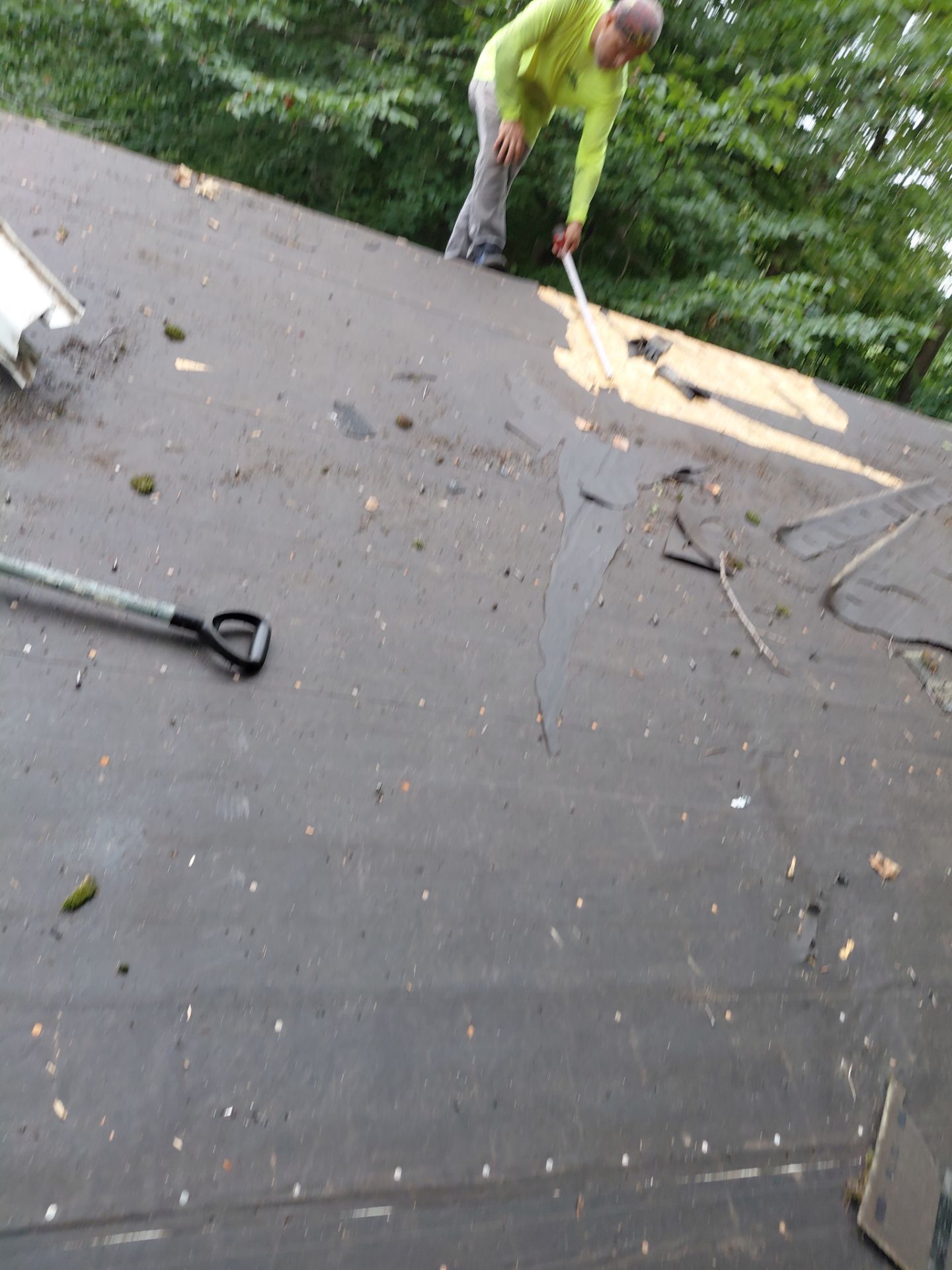 Springfield : with CertainTeed Landmark Pro in Max Def Cobblestone Gray  by RM Banning, Inc.