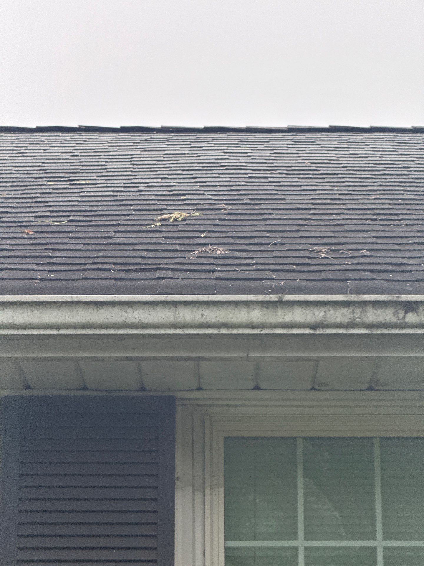 Project in Colonial Heights by Roof Maxx of Midlothian