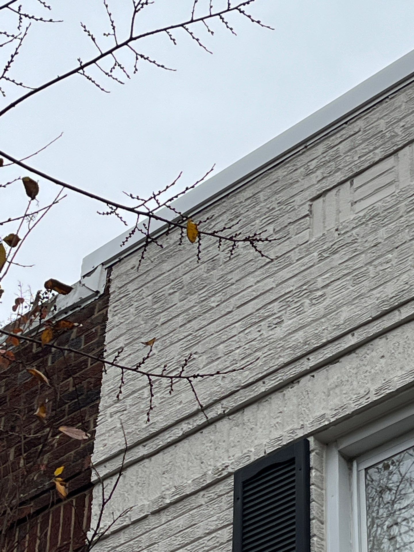 Alexandria: Residential Flat Roof Replacement with Mule Hide TPO Membrane by RM Banning, Inc.