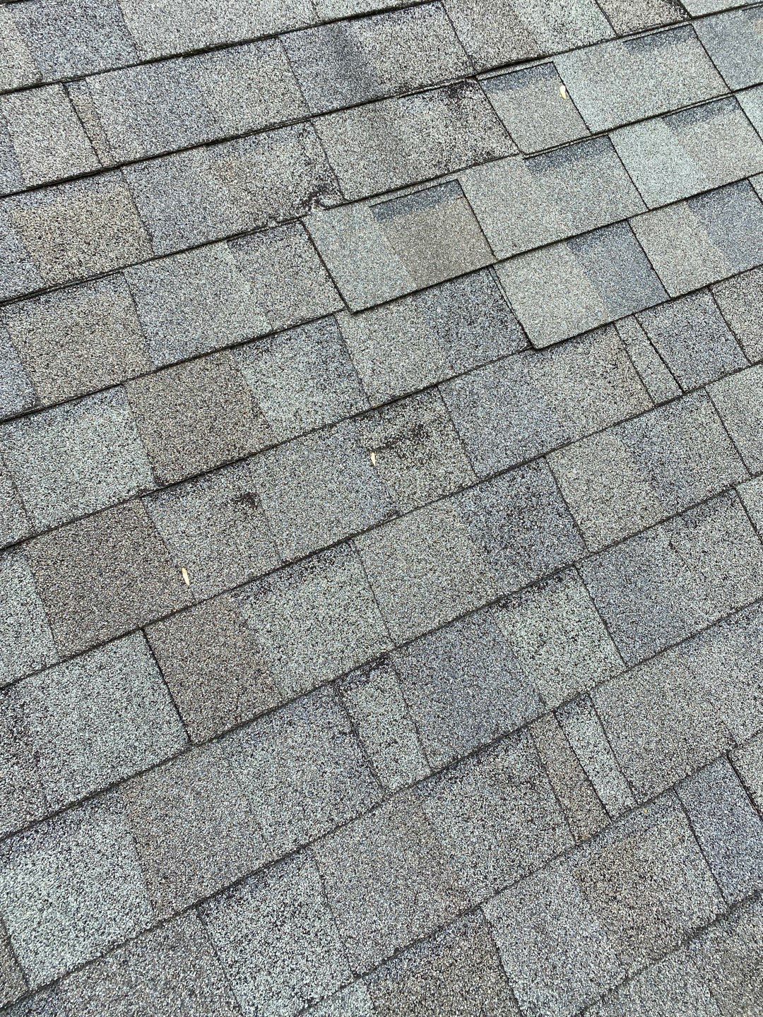 Alexandria: CertainTeed Landmark Pro Designer Shingles in Max Def Colonial Slate by RM Banning, Inc.