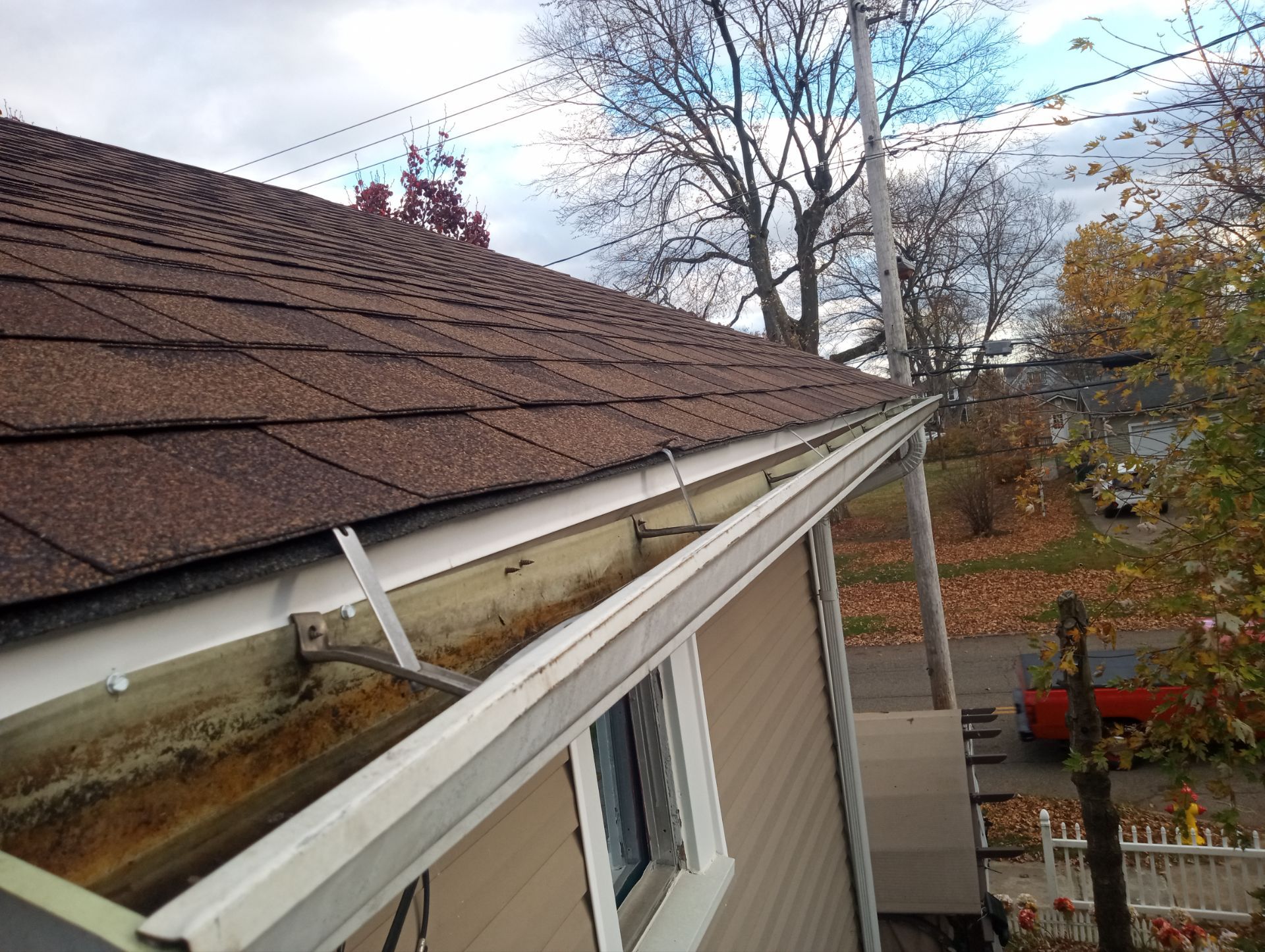 Darlene Jellel 1236 by Silver Leaf Contracting 