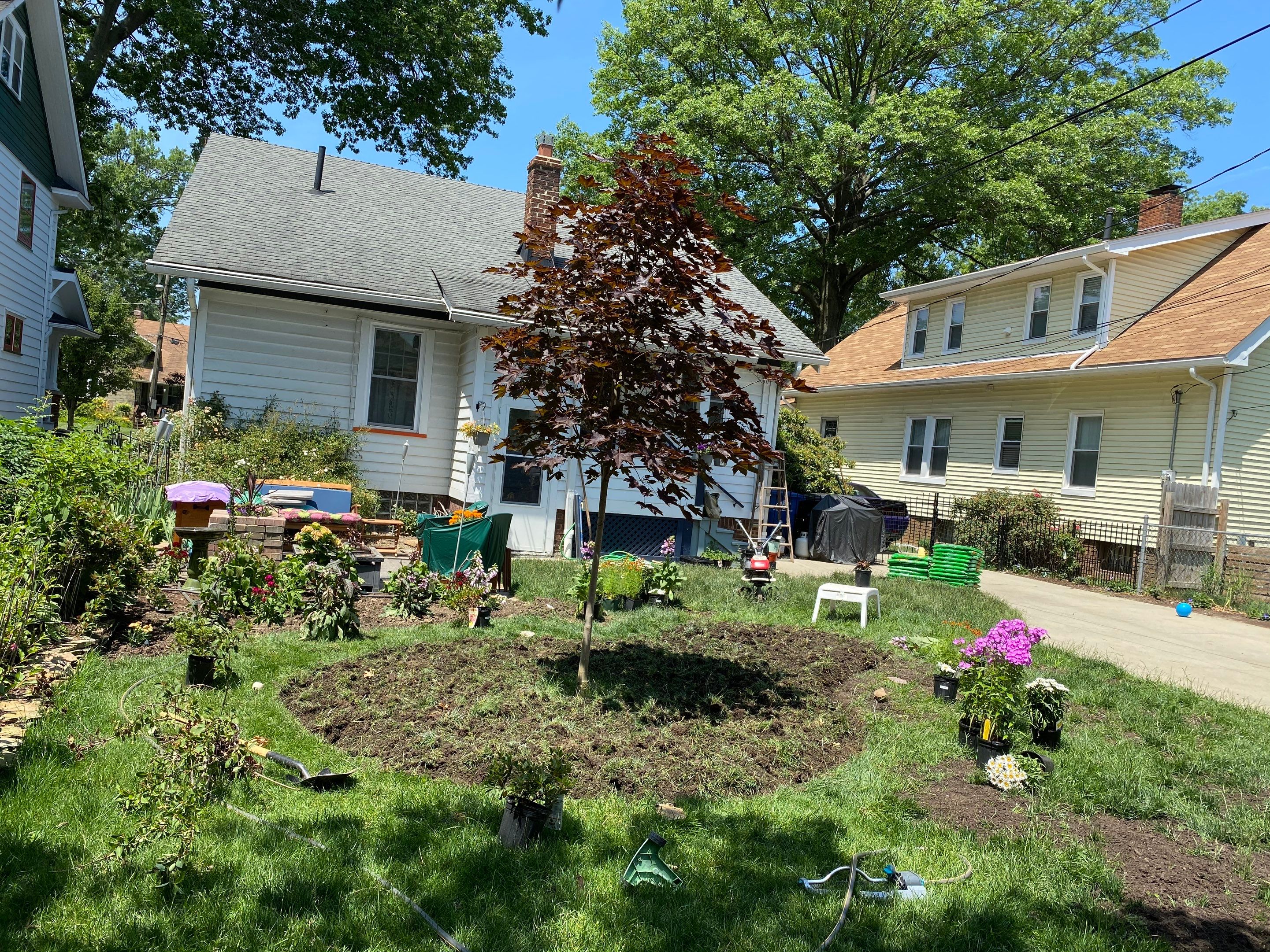 Woodland Island Project by Elm Rose Gardens