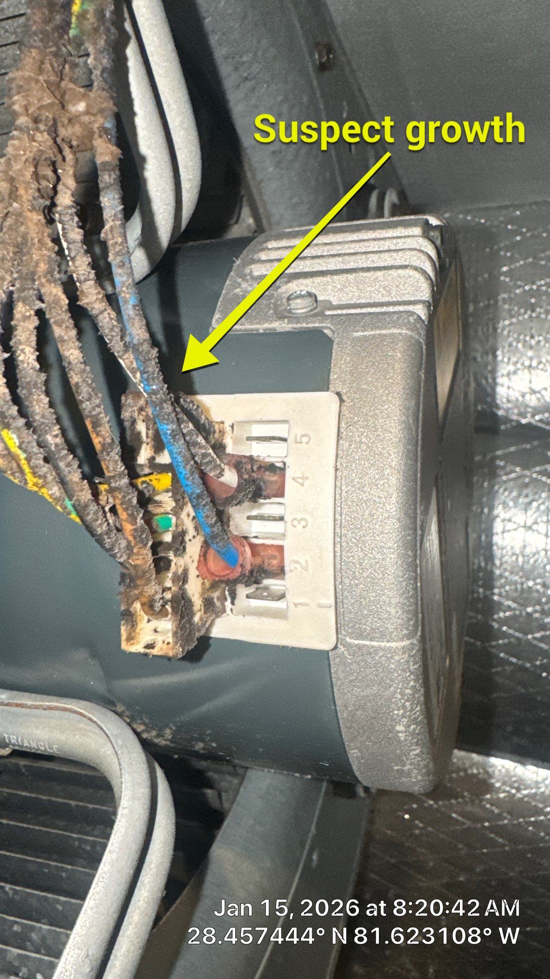 Air Duct Cleaning in Winter Garden by Hygienic Air, Inc