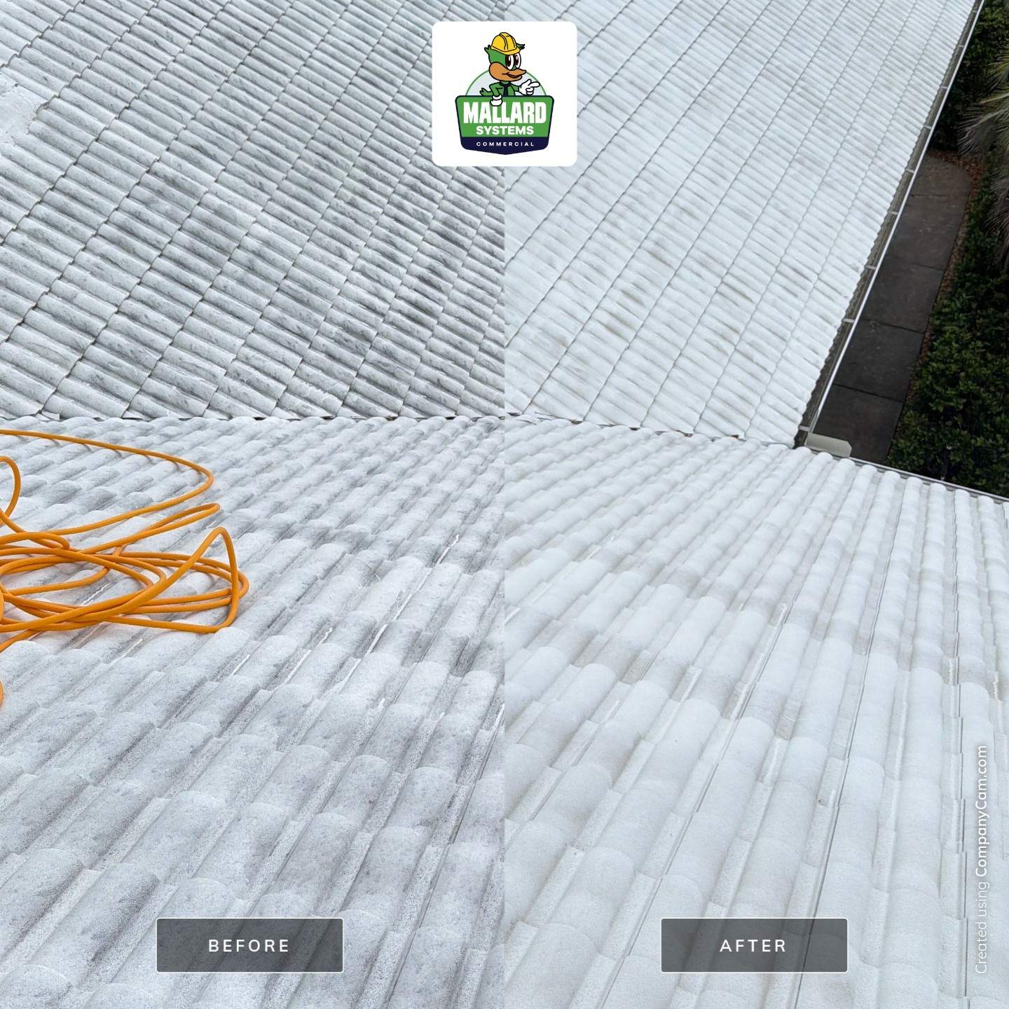 White Tile Roof Cleaning in Windermere by Mallard Systems
