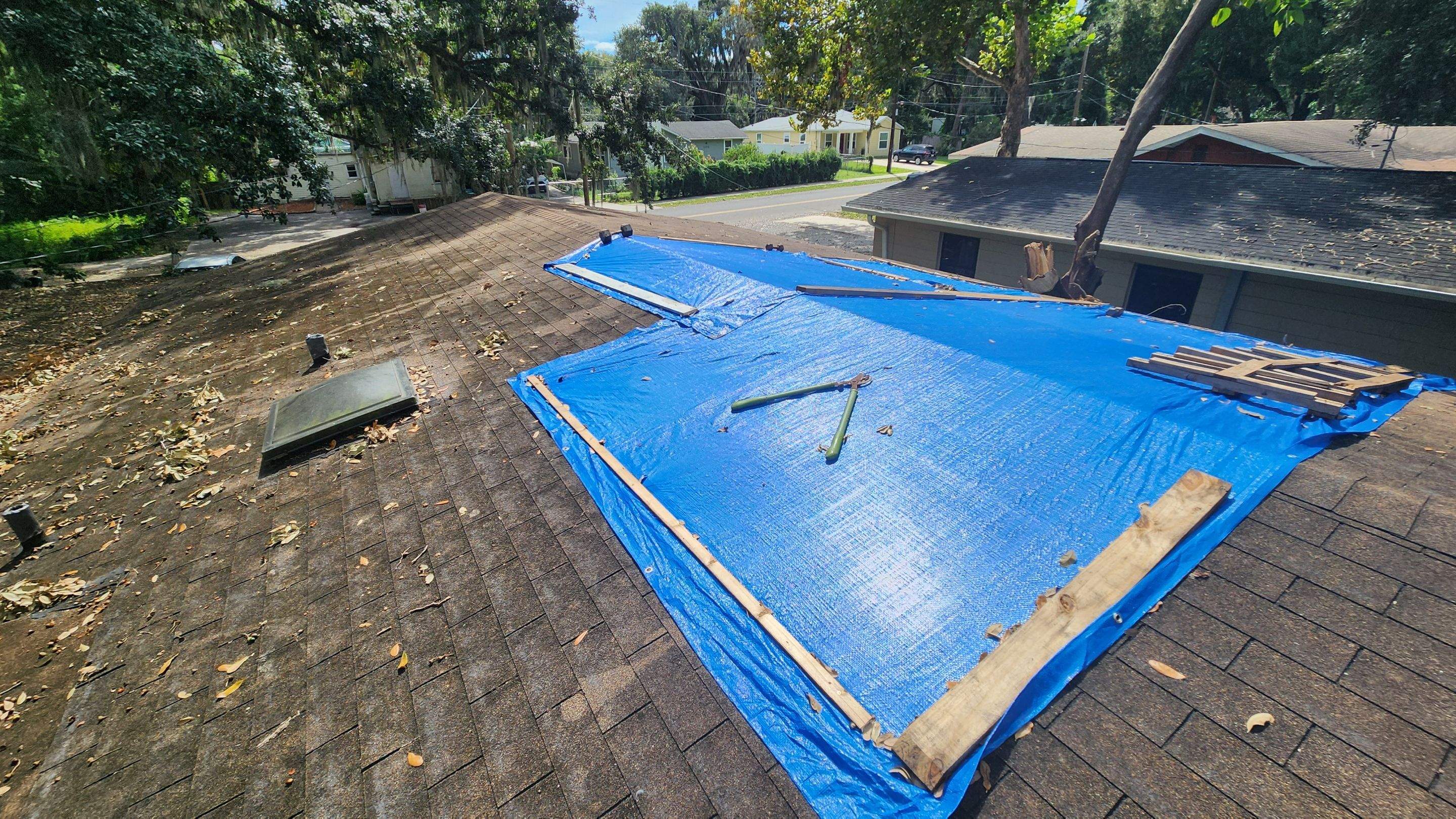 Tree Damage Claim in Orlando by FLAPA & KeyStone