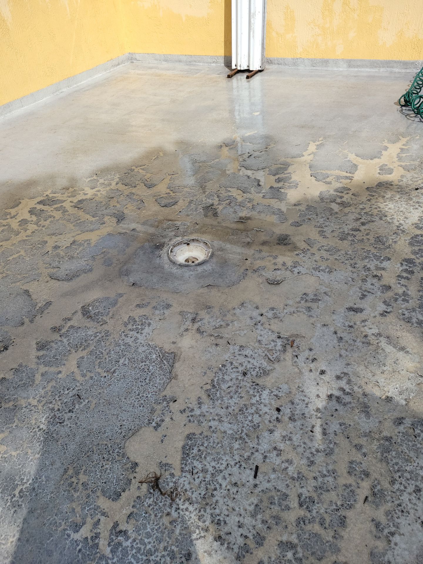 Waterproof Floor Painting  by John “The Greek” Painting