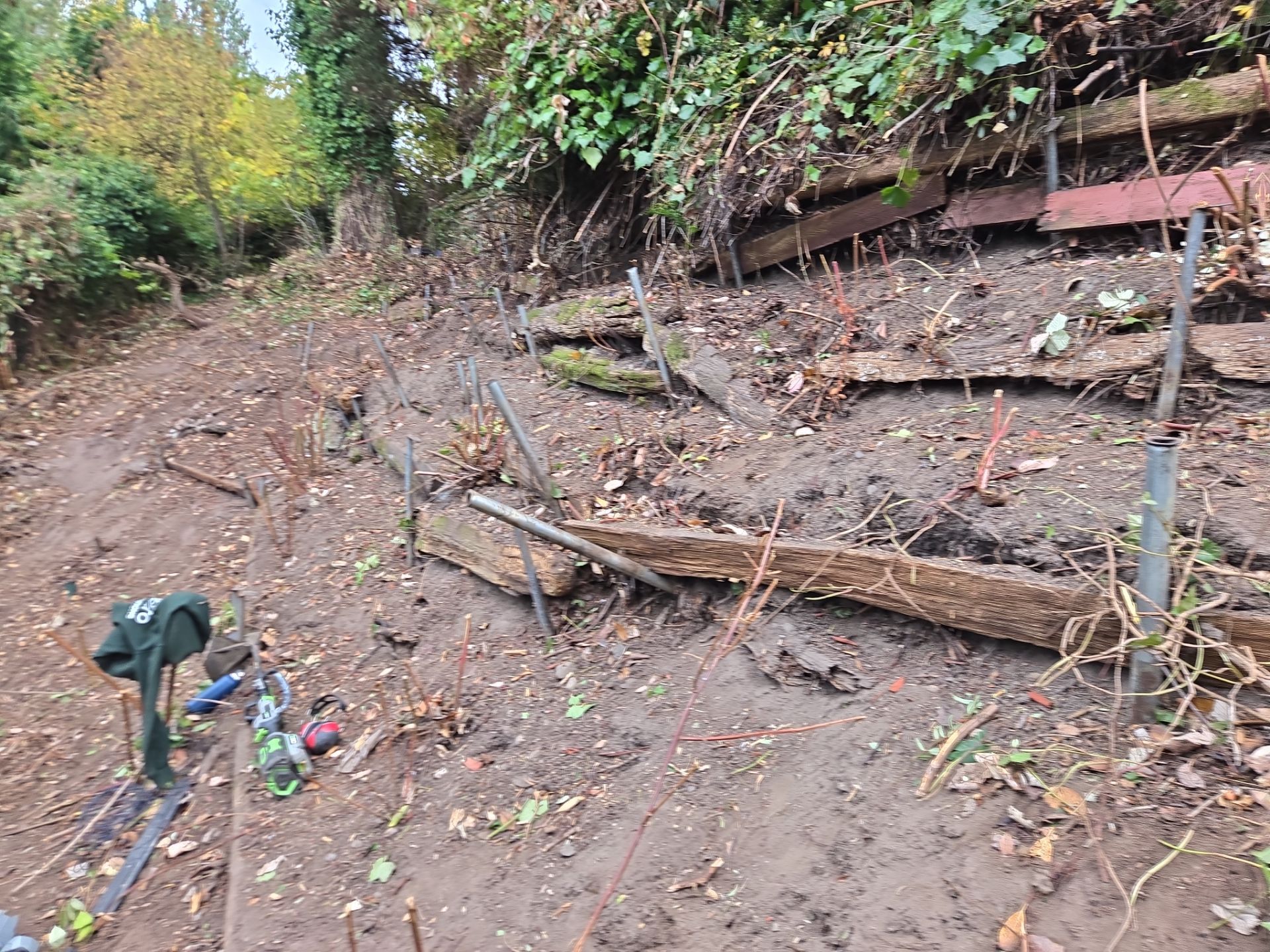 Georgia Park Terrace — Living Slope Transformation by Habanero Landscape Solutions