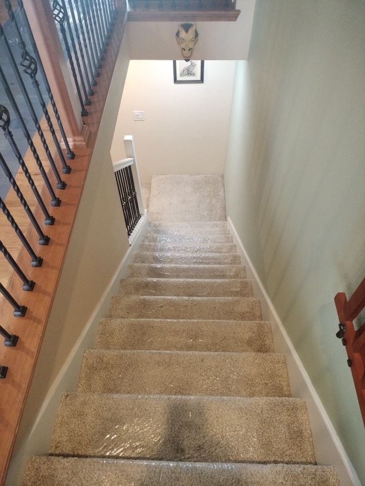 Mold Remediation by Accountable Home Services