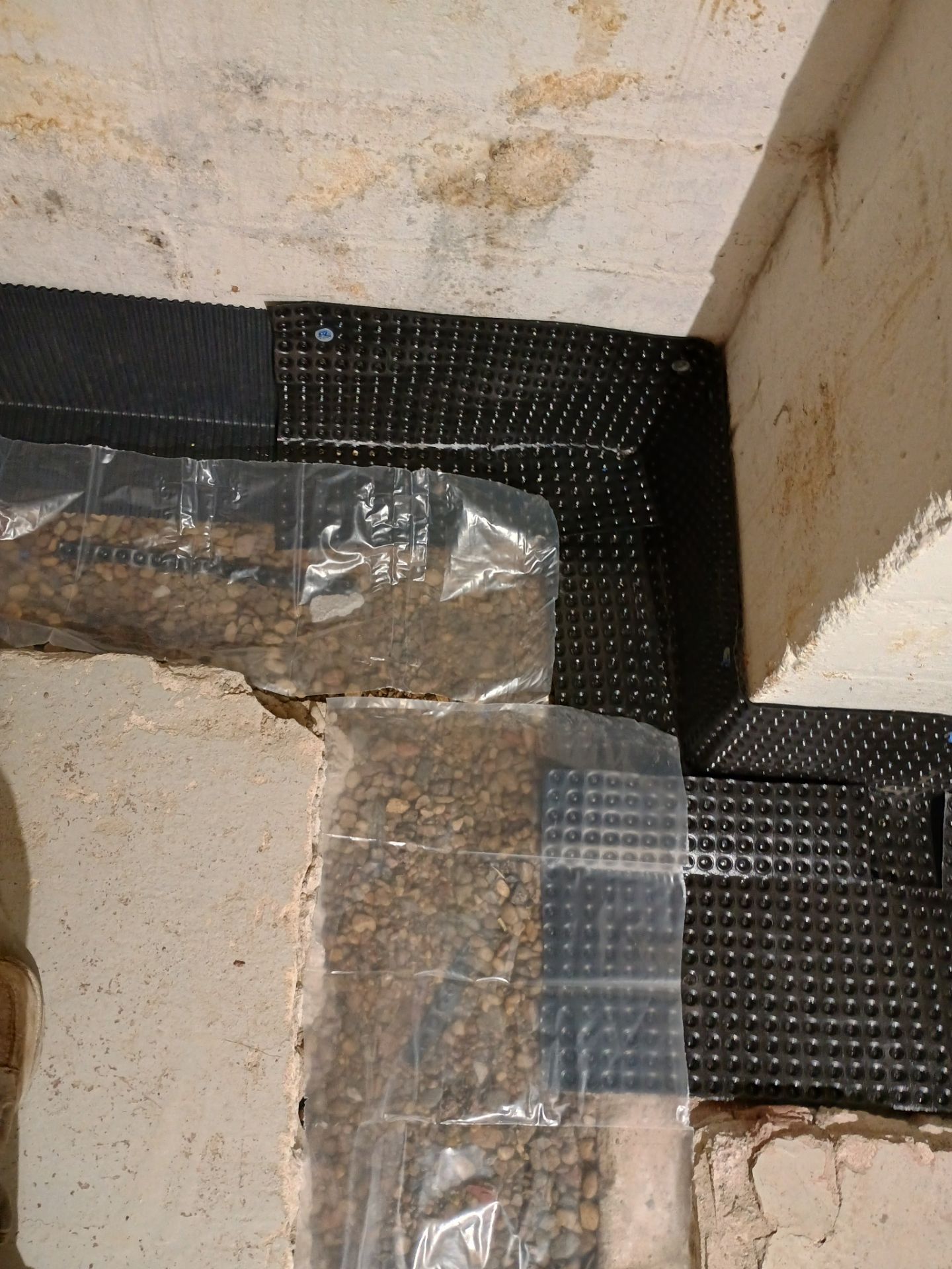 Abigail's New Home by Waterproofing Northeast