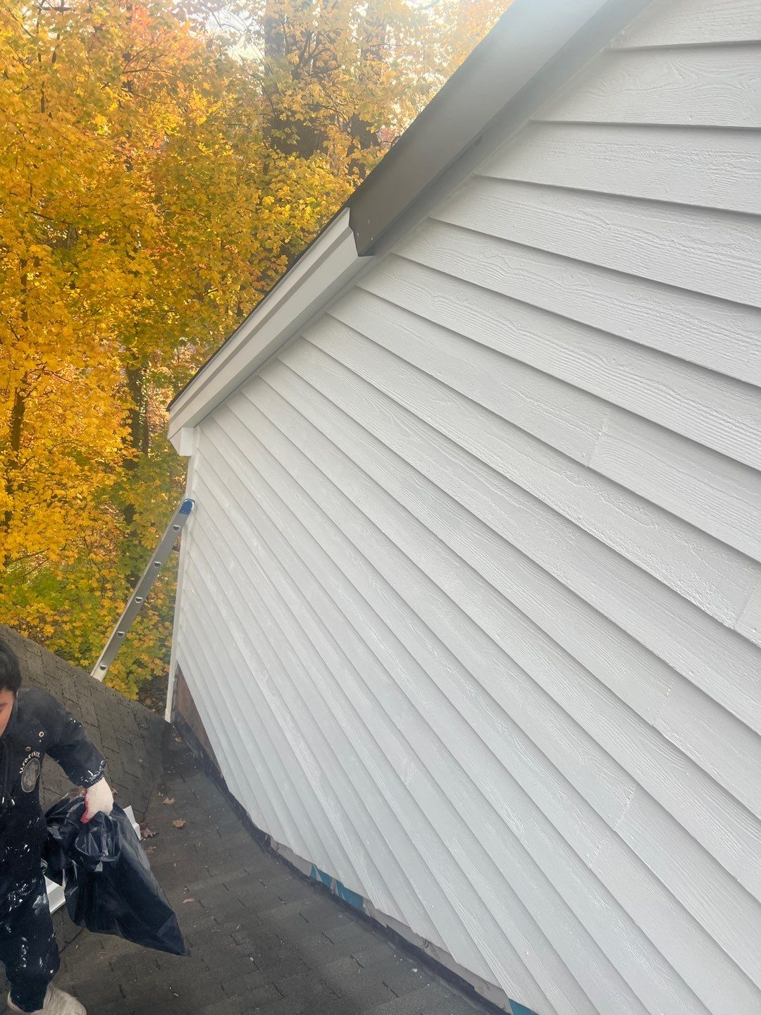 Arlington: Bevel Cedar Wood Siding Restoration by RM Banning, Inc.