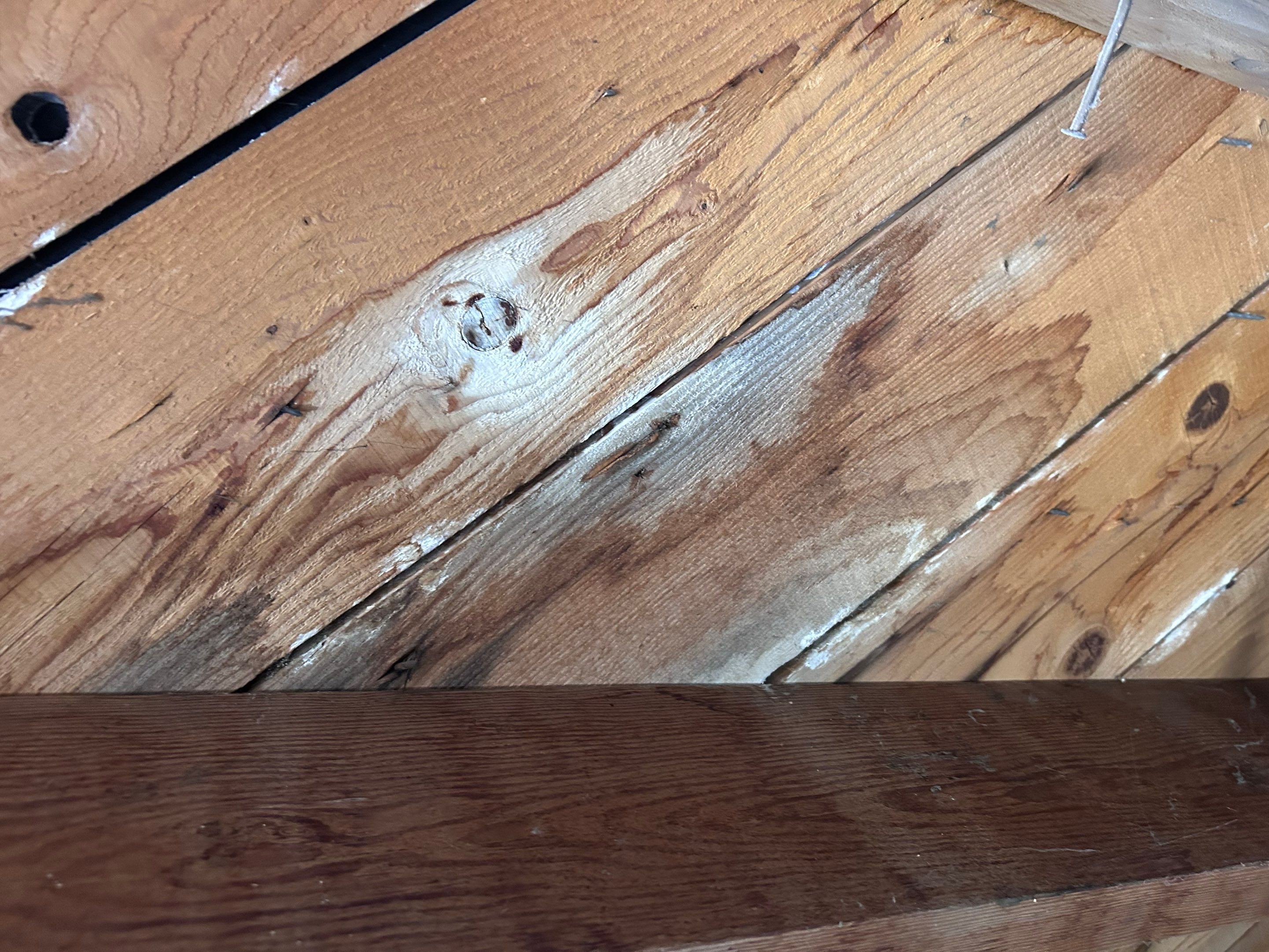 Mold Damage Restoration by Accountable Home Services