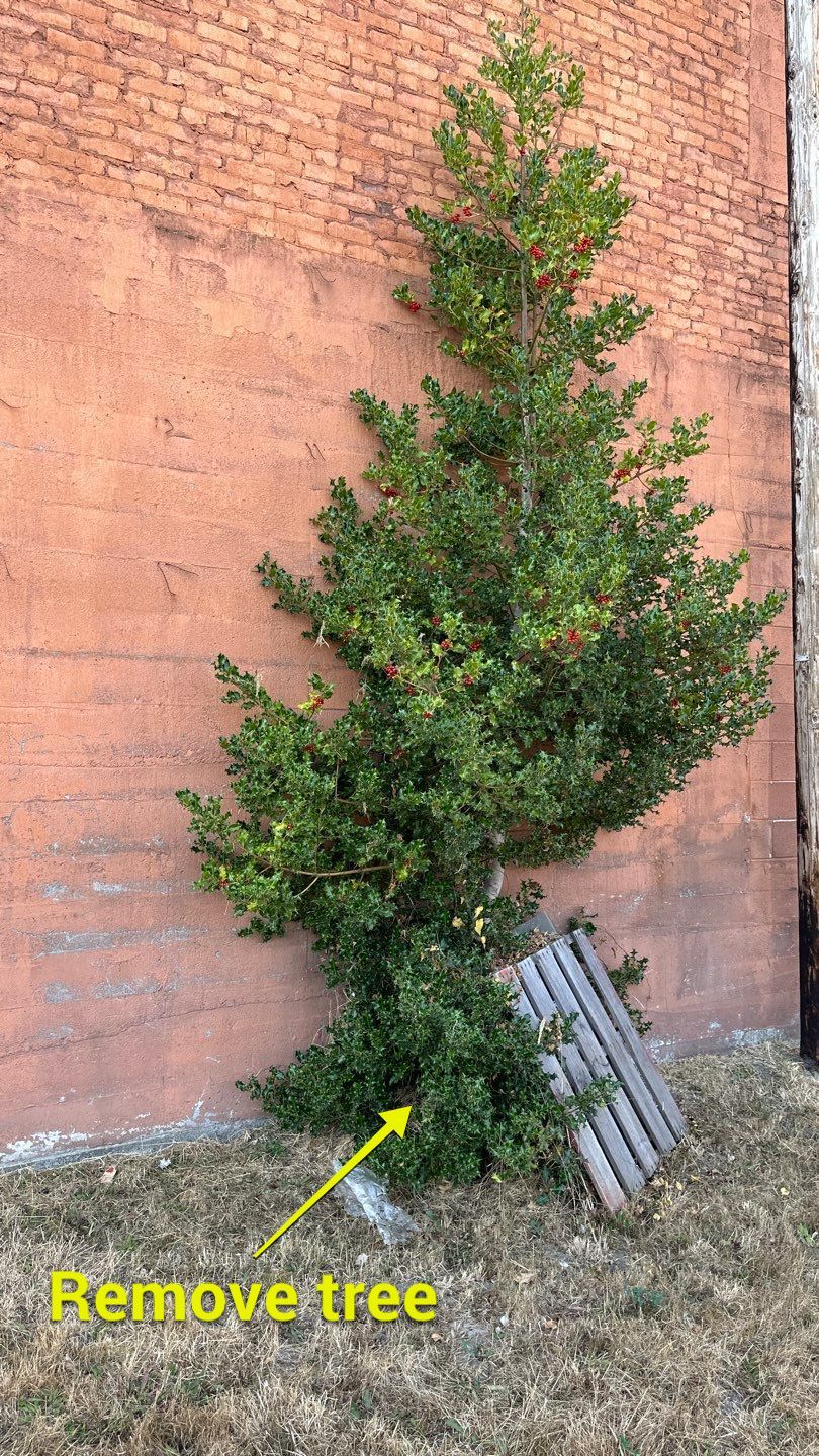 Brian | Driveway Asphalt, Asphalt Project  by Jireh Asphalt & Concrete Inc 