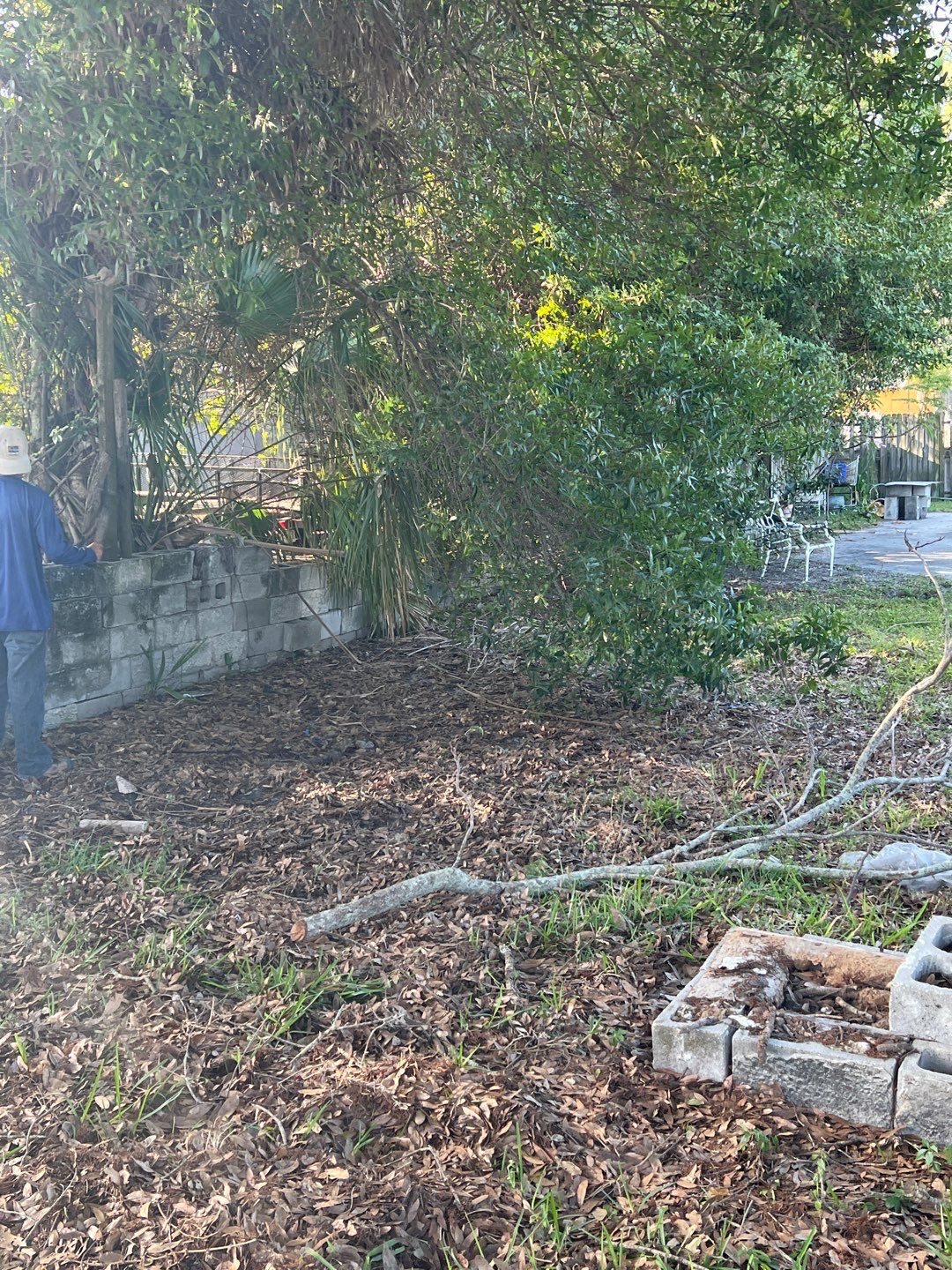 Sarasota, FL 6ft. Tall Treated Board on Board Privacy Fence  by Asap fence and gates, LLC