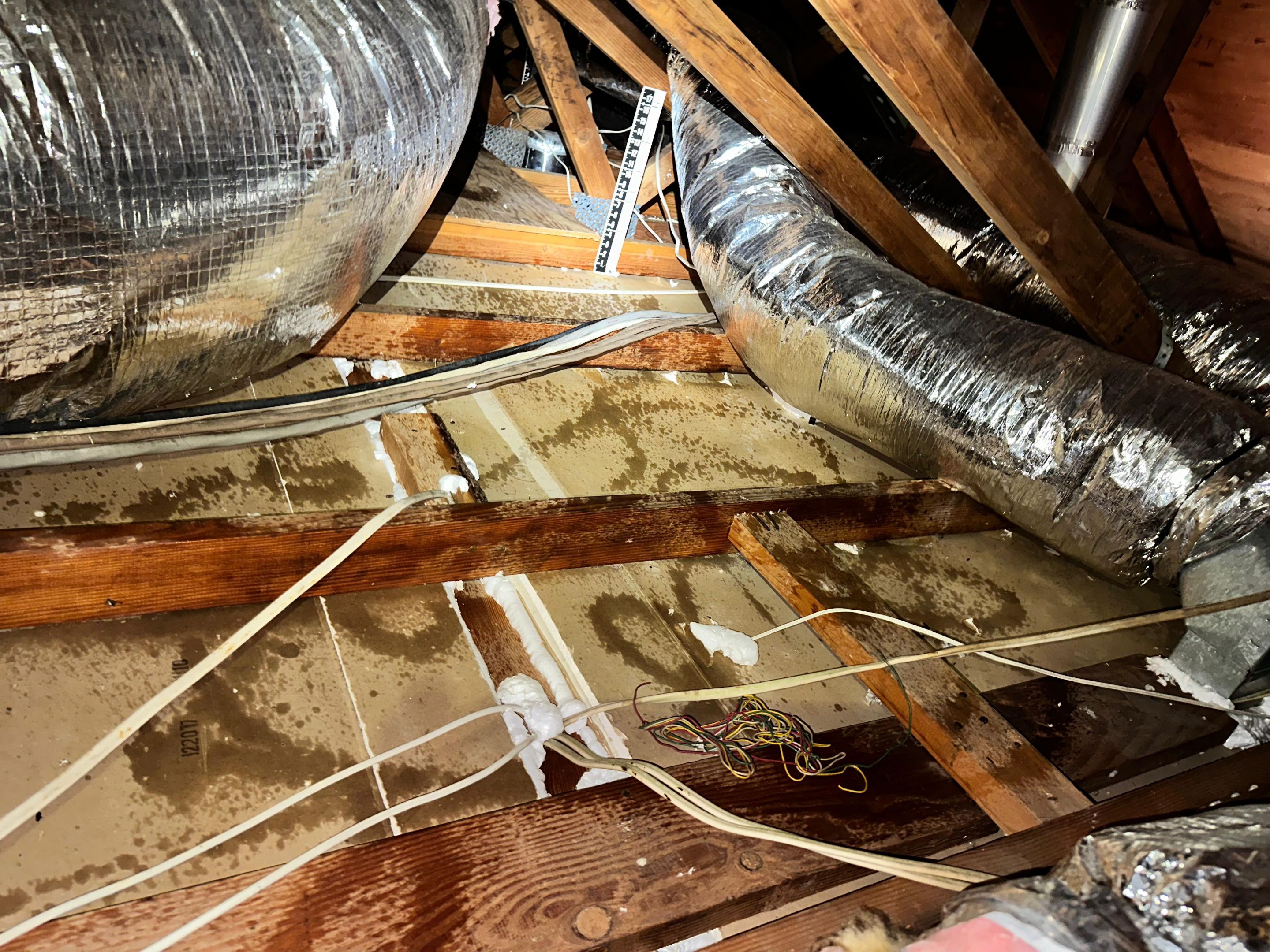 Project in Irvine by Insulation Labs