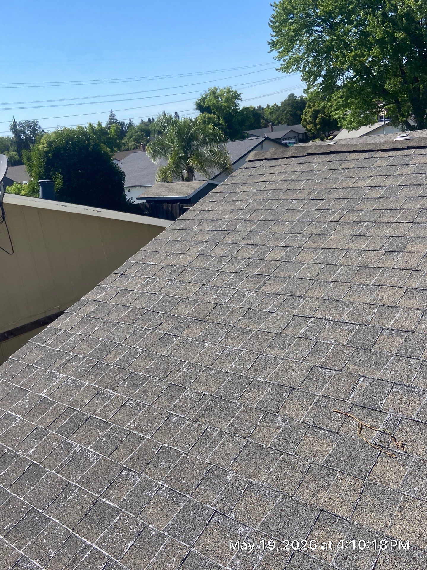 Roof Rejuvenation using Roof Maxx Treatment by Roof Maxx of Folsom