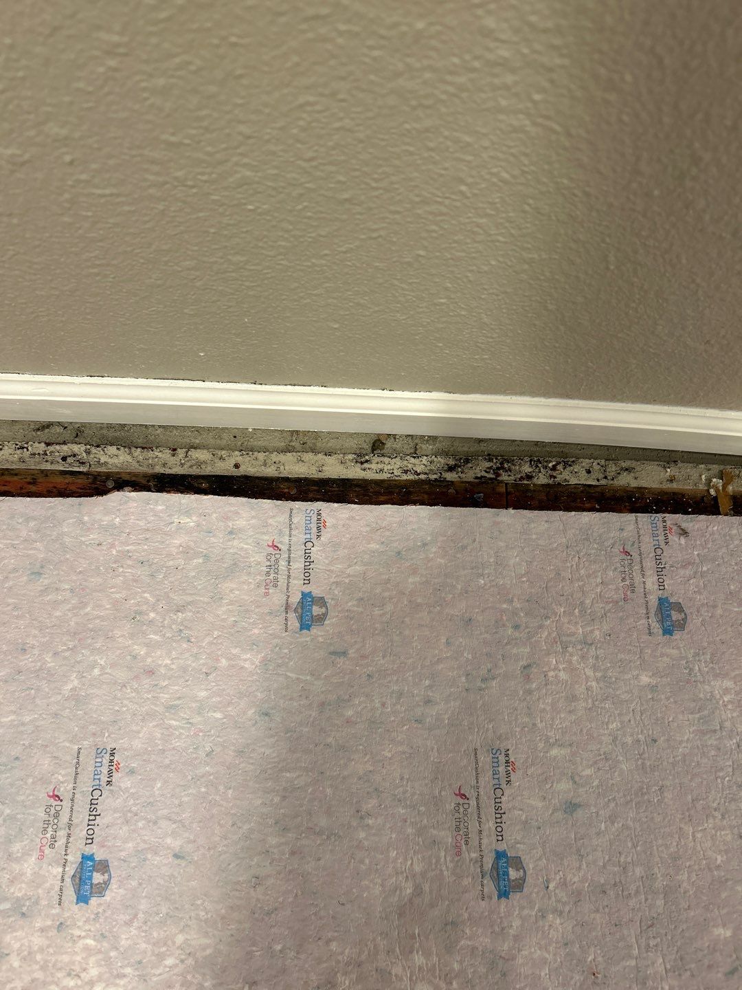 Water Damage  by Accountable Home Services